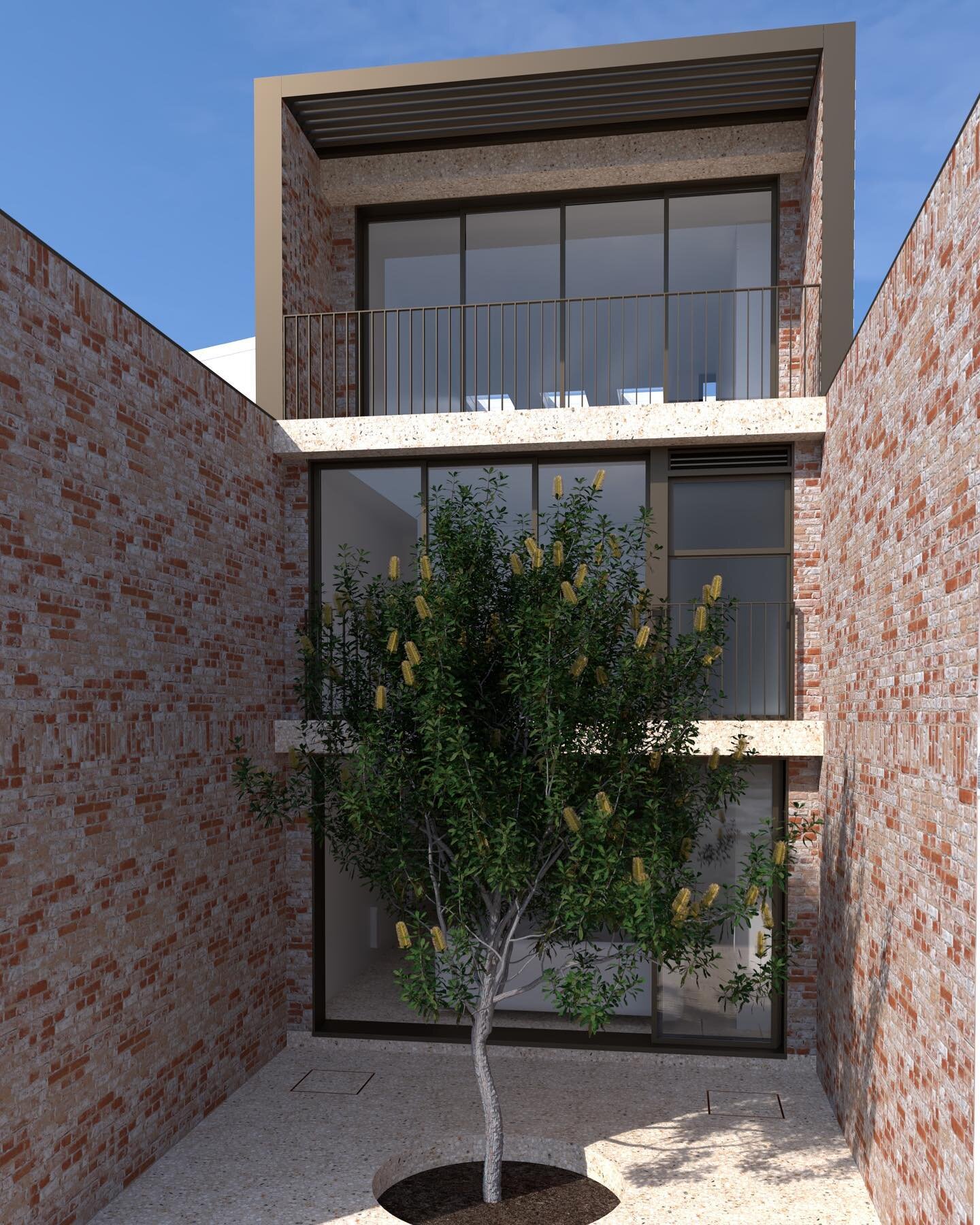 Working on the material palette for our Bondi Road project. Keeping it simple with recycled brick, polished concrete, bronze anodised window frames and a banksia serrata in the courtyard