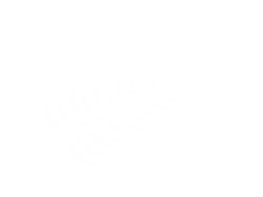 Challenge NZ 2020 - Logo.png