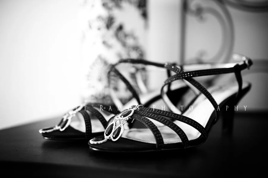 JRPRVHSHOCO2014_0171BW.jpg