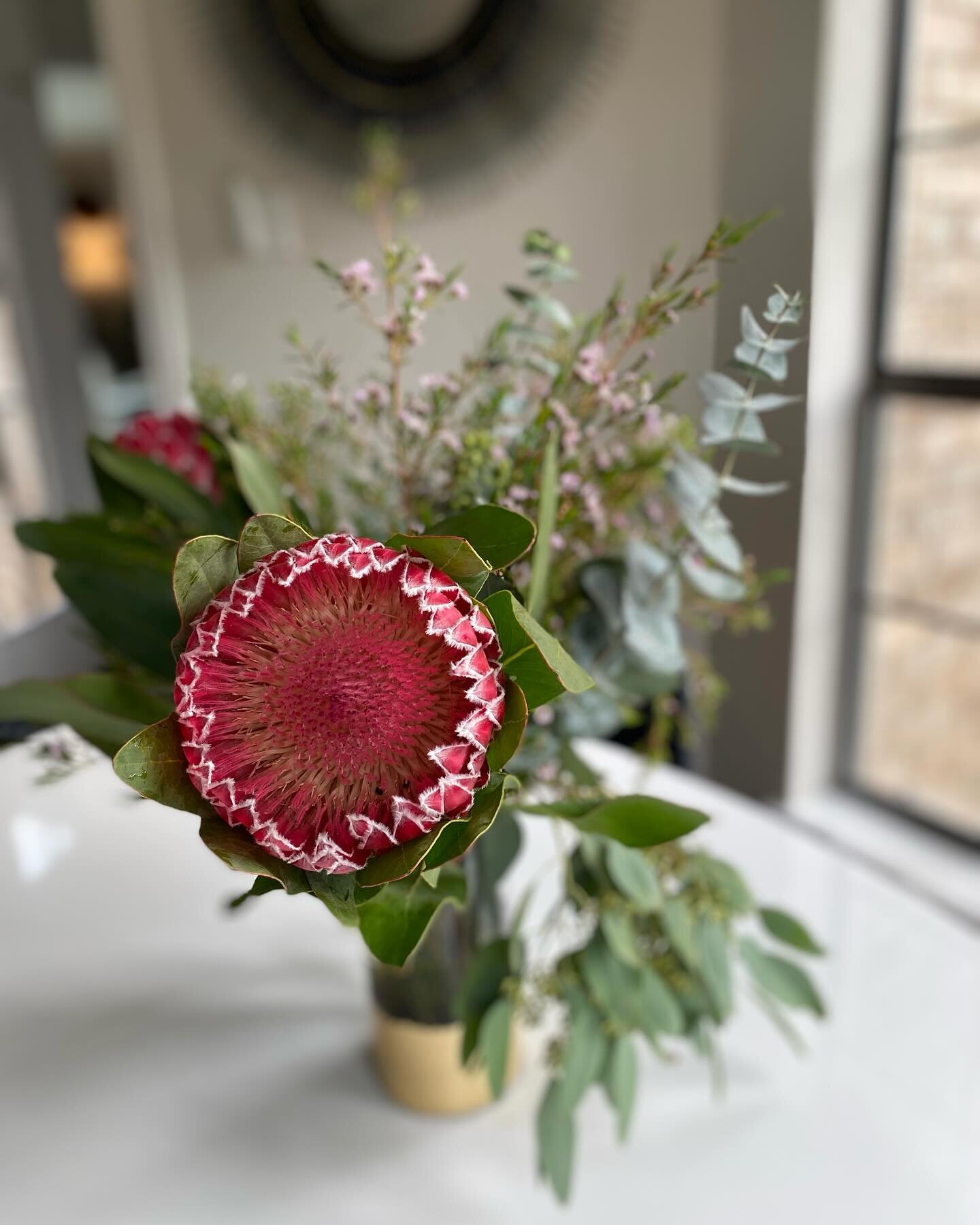 South African Proteas on my kitchen dining table this weekend. The most unusual, yet gorgeous flower there is! The vibrant color and detail of this flower is mesmerizing🌺 #southafricagirl #proteaflower #flowerstagram #traderjoeflorals #southafricafl