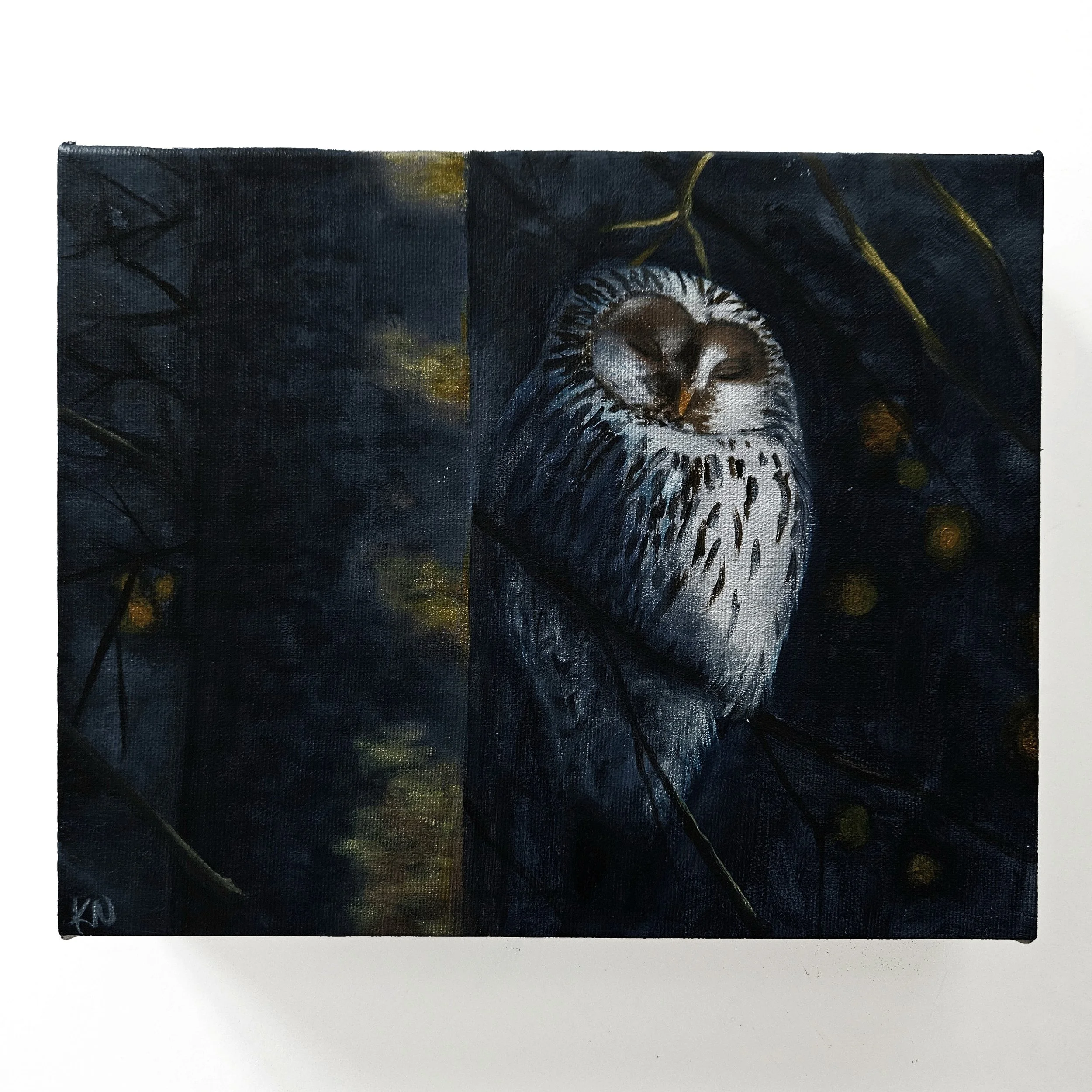 Moonlight Perch.jpg