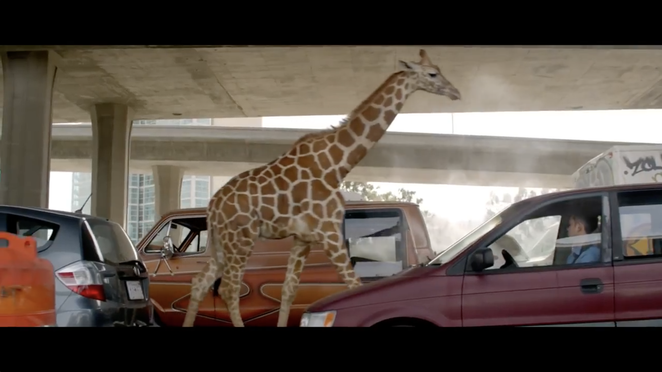 Screen Shot 2018-04-19 at 11.17.41 PM.png