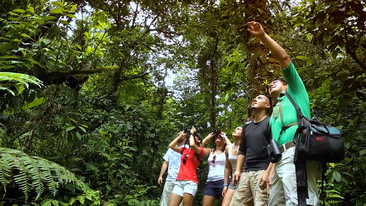 Escape to Costa Rica - take a RainForest Tour!