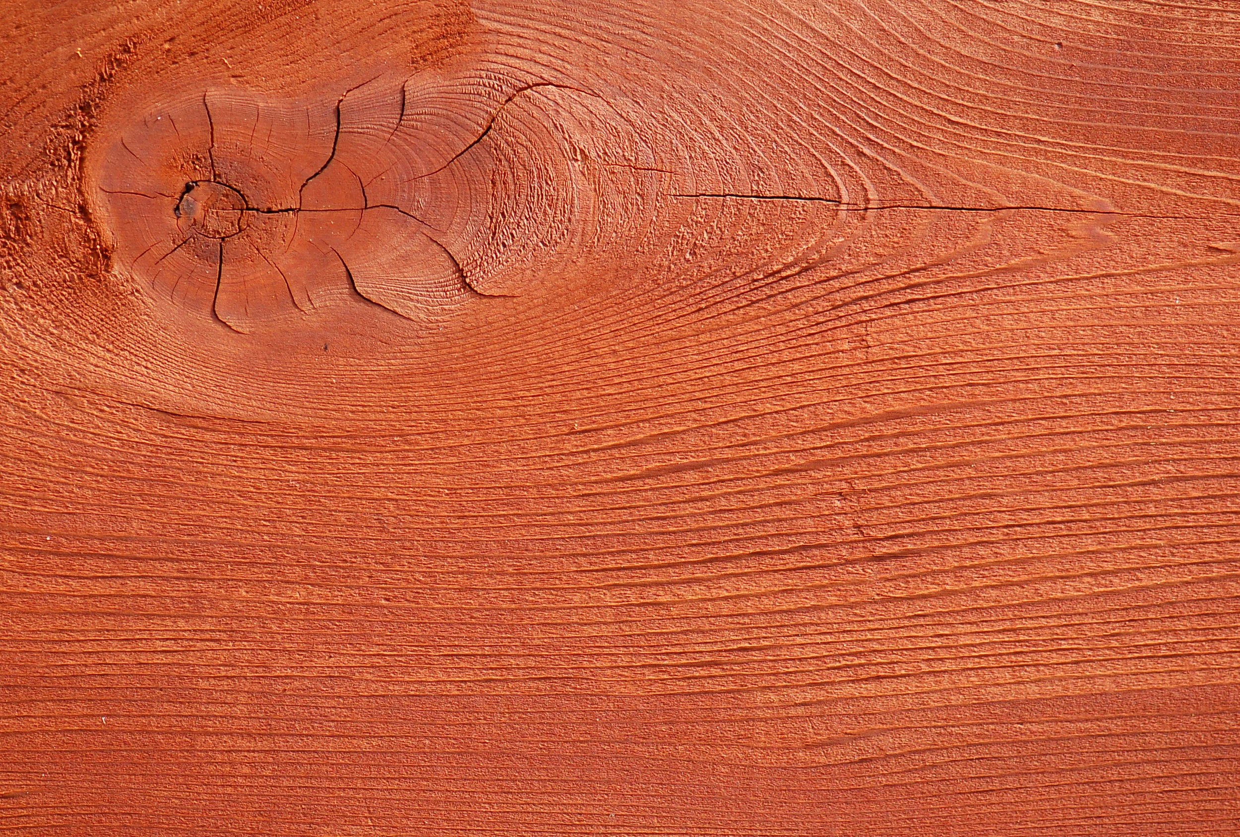 aromatic red cedar.jpeg