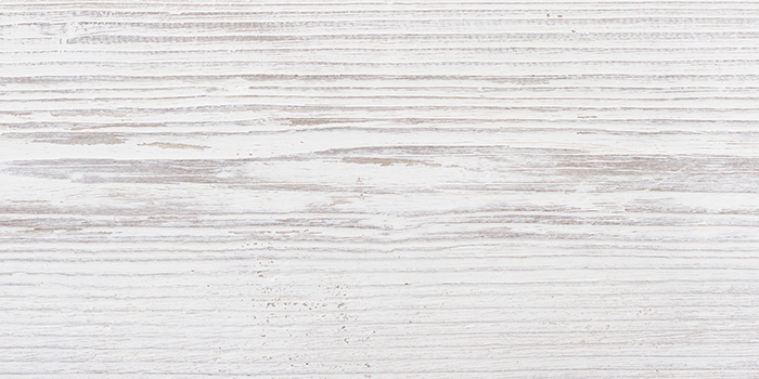 13 Eastern White Pine.png
