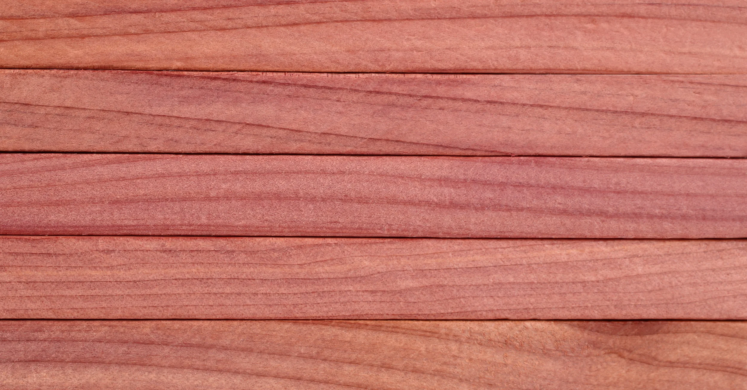 western red cedar.jpeg