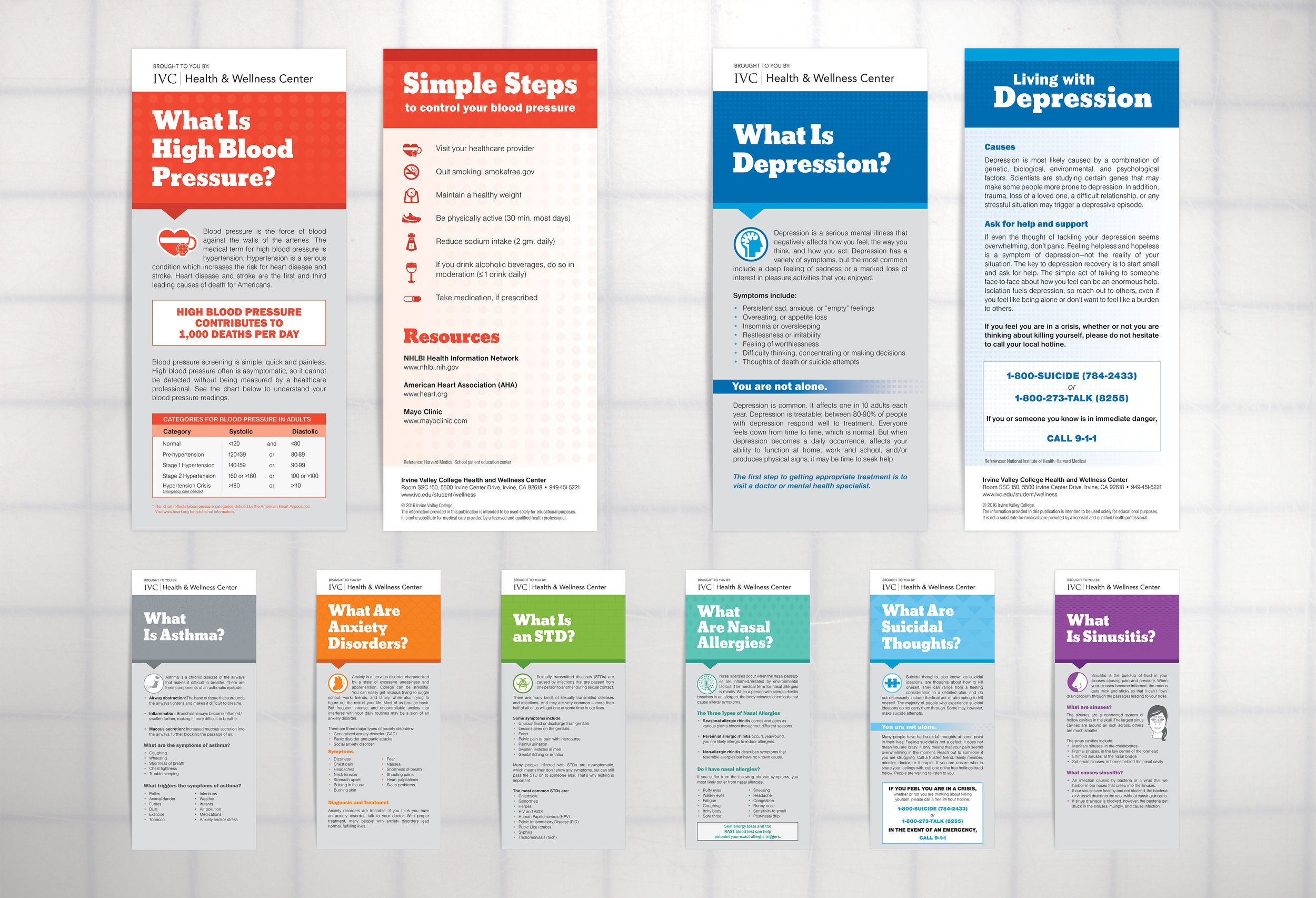  Project Management  Data Visualization  Content Creation  Layout 