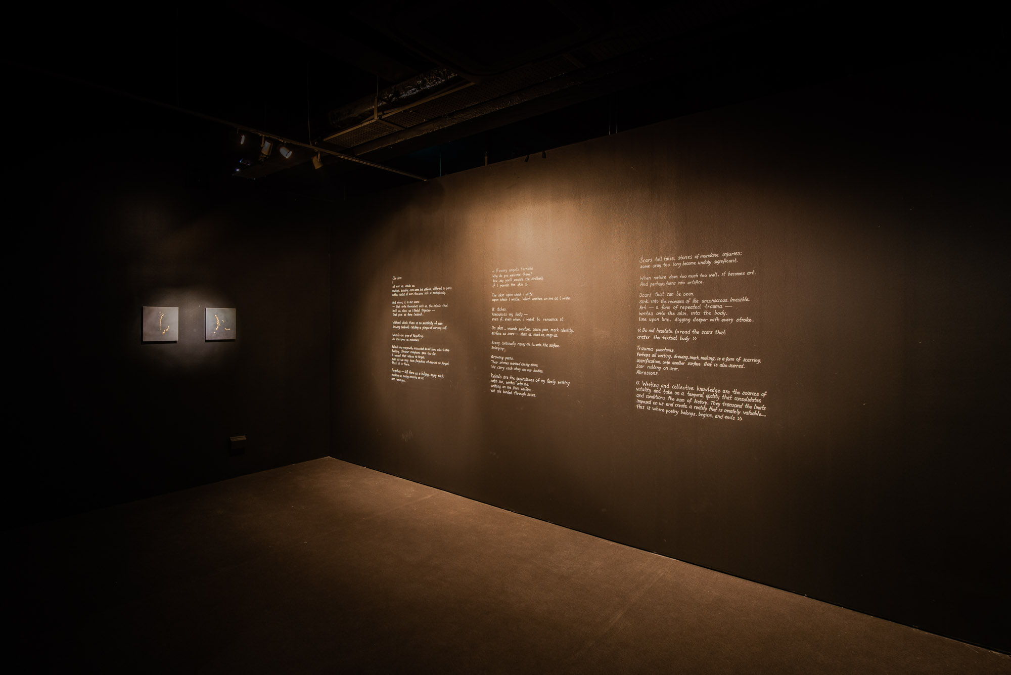 The scars that write us, Yanyun Chen 2018, Installation View at 8Q @ Singapore Art Museum