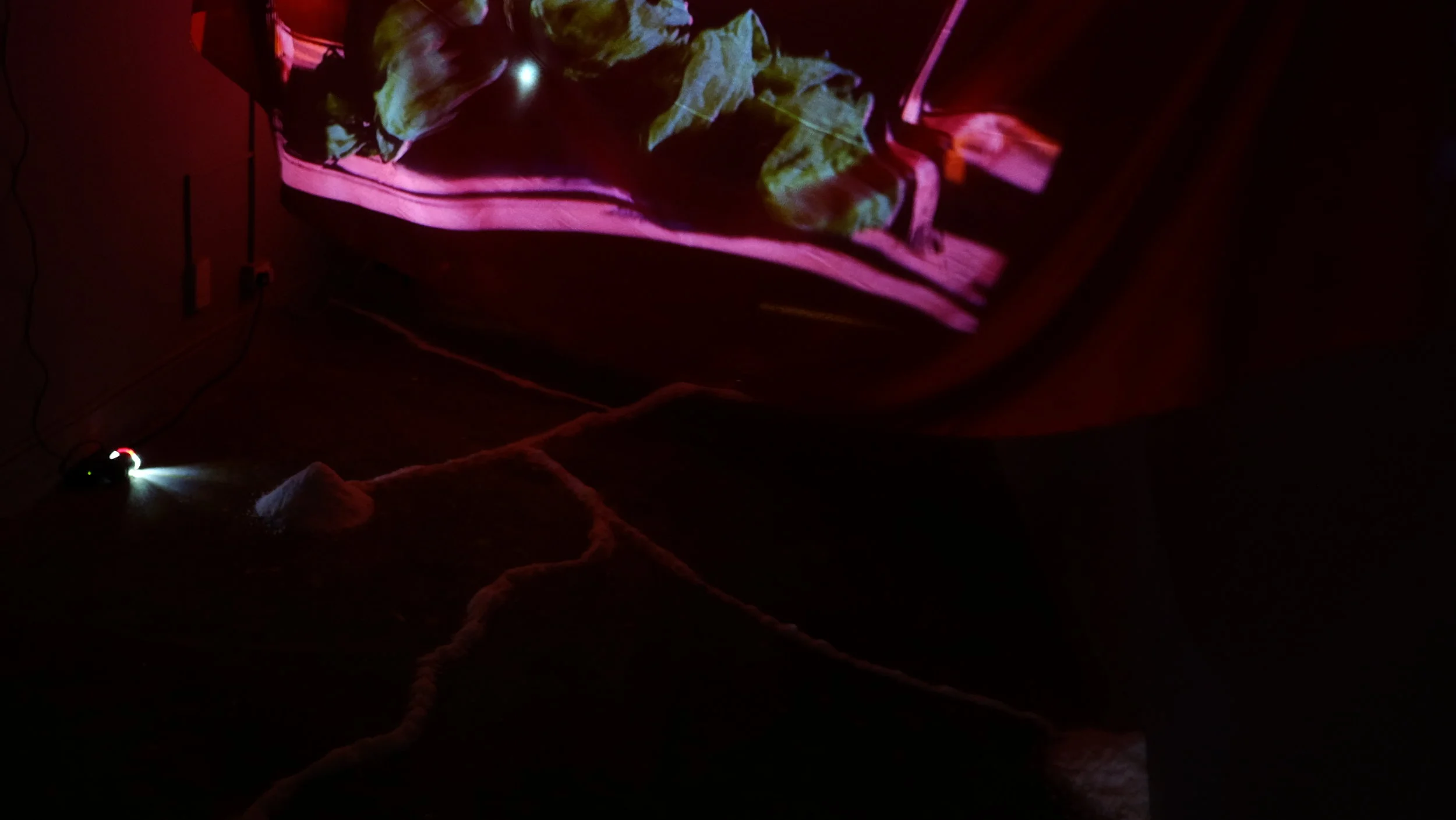 Spirit of Echoes , ila 2018, Installation View at Coda Culture