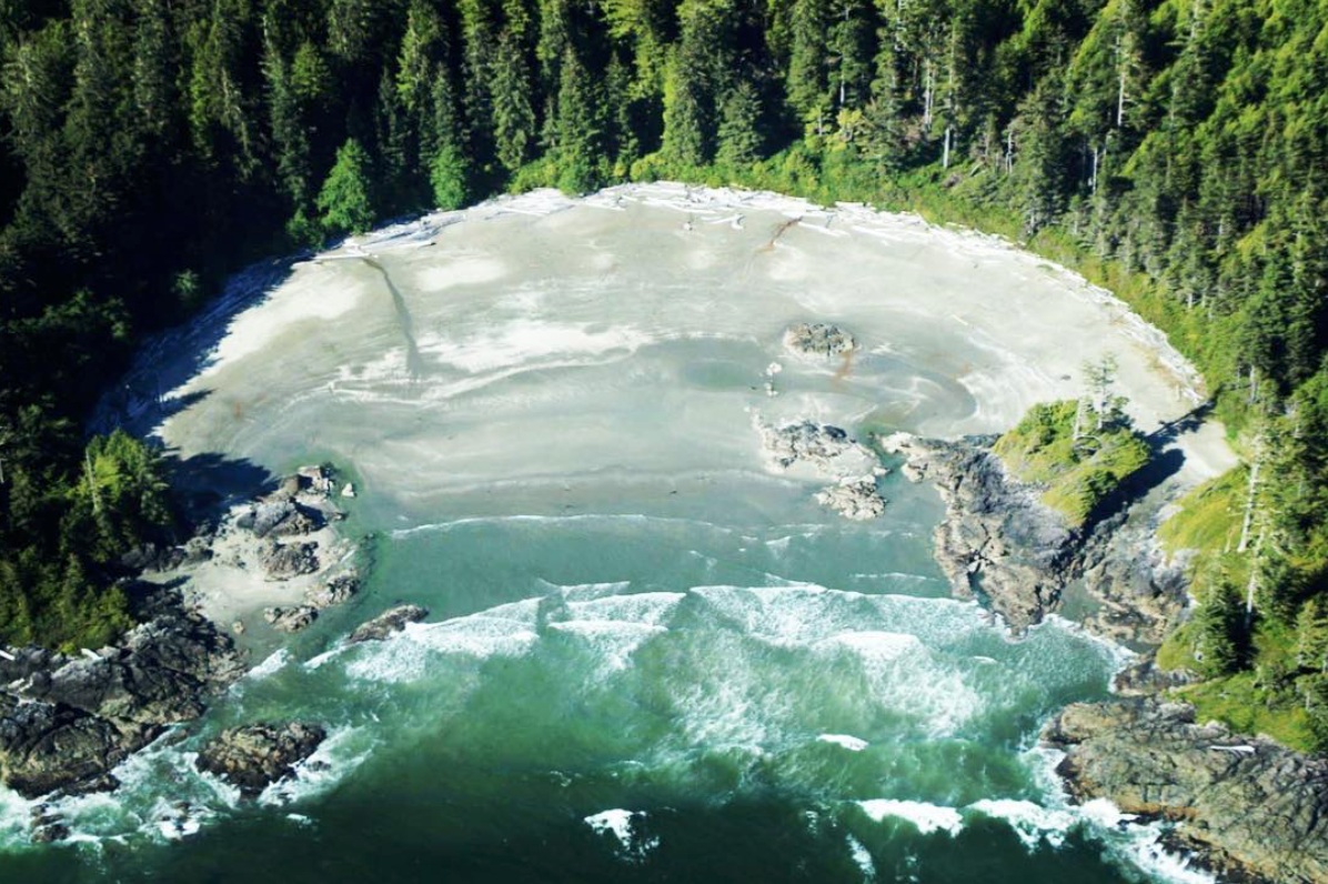 Clayoquot Sound Eagle-View.png