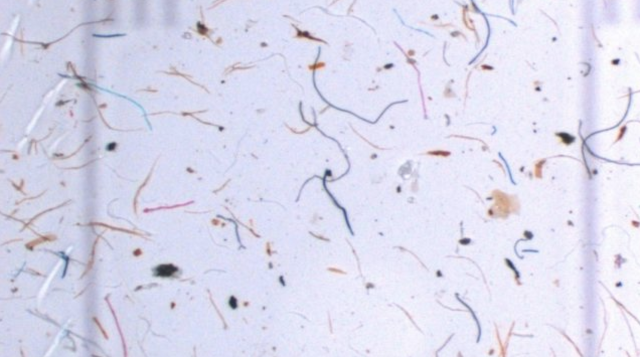 microfibres.png