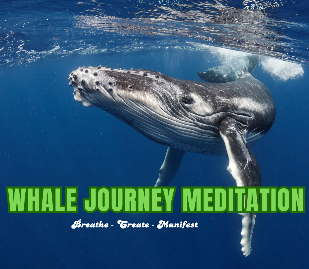 Whale Journey Meditation