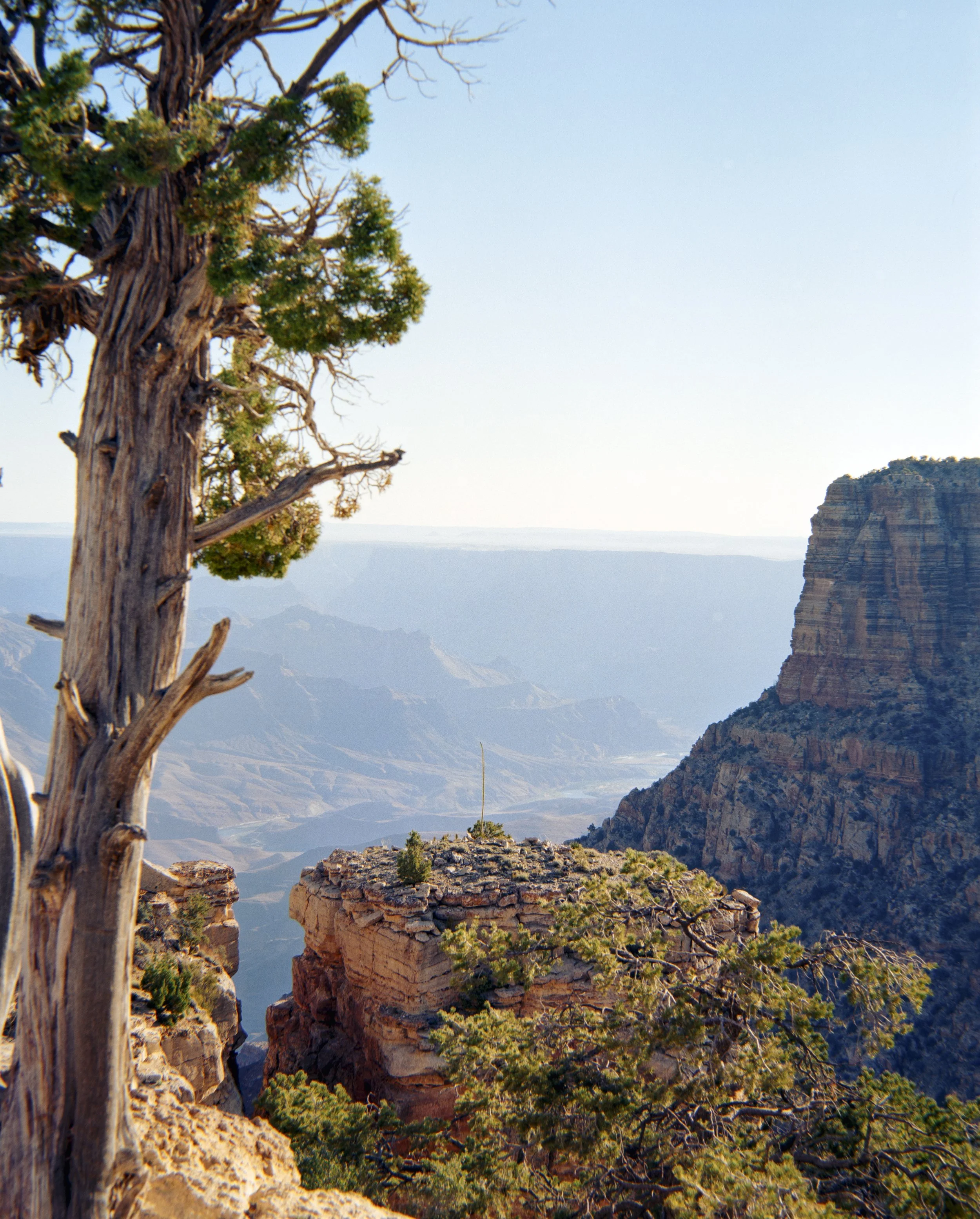 Road trip scans Medium format-384-positive.jpg