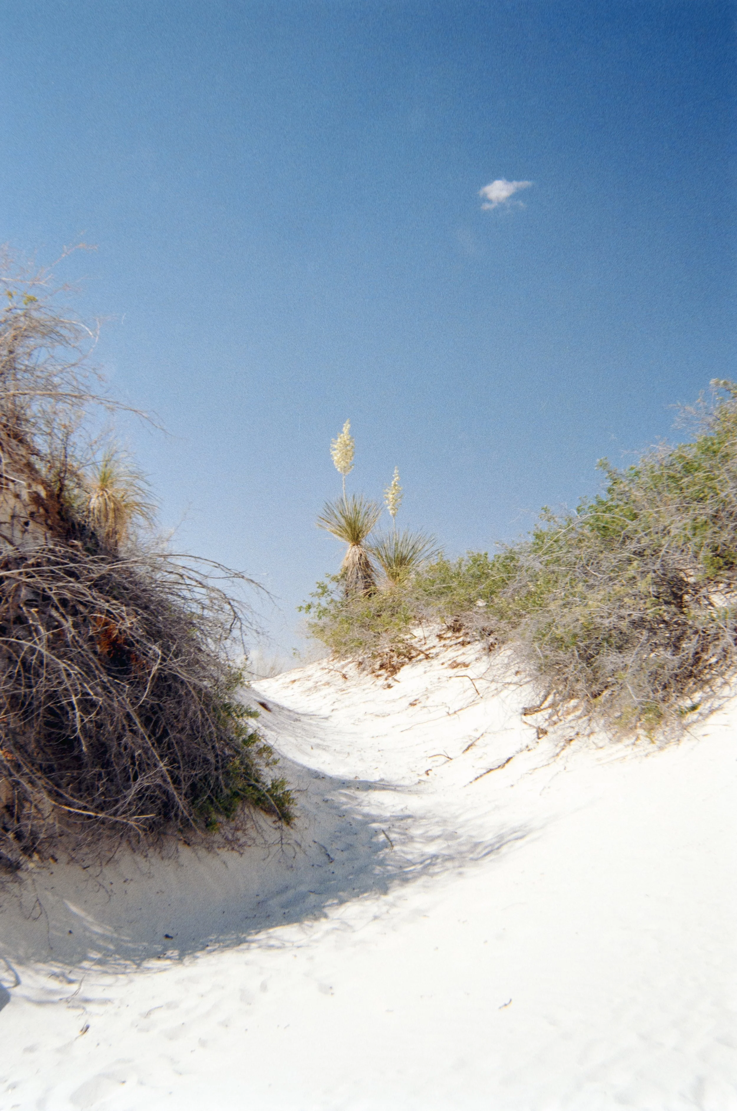 Road trip scans-061.jpg