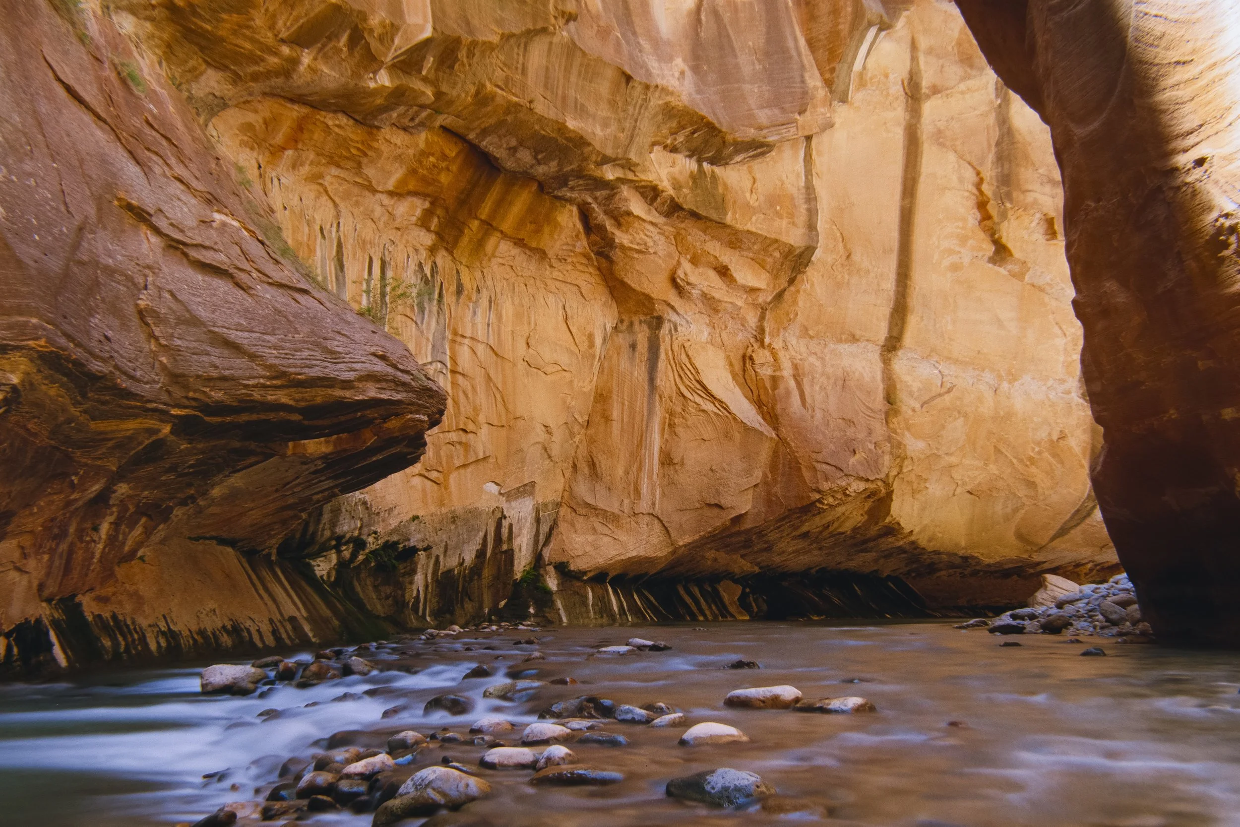 Road trip scans Medium format-333-positive.jpg