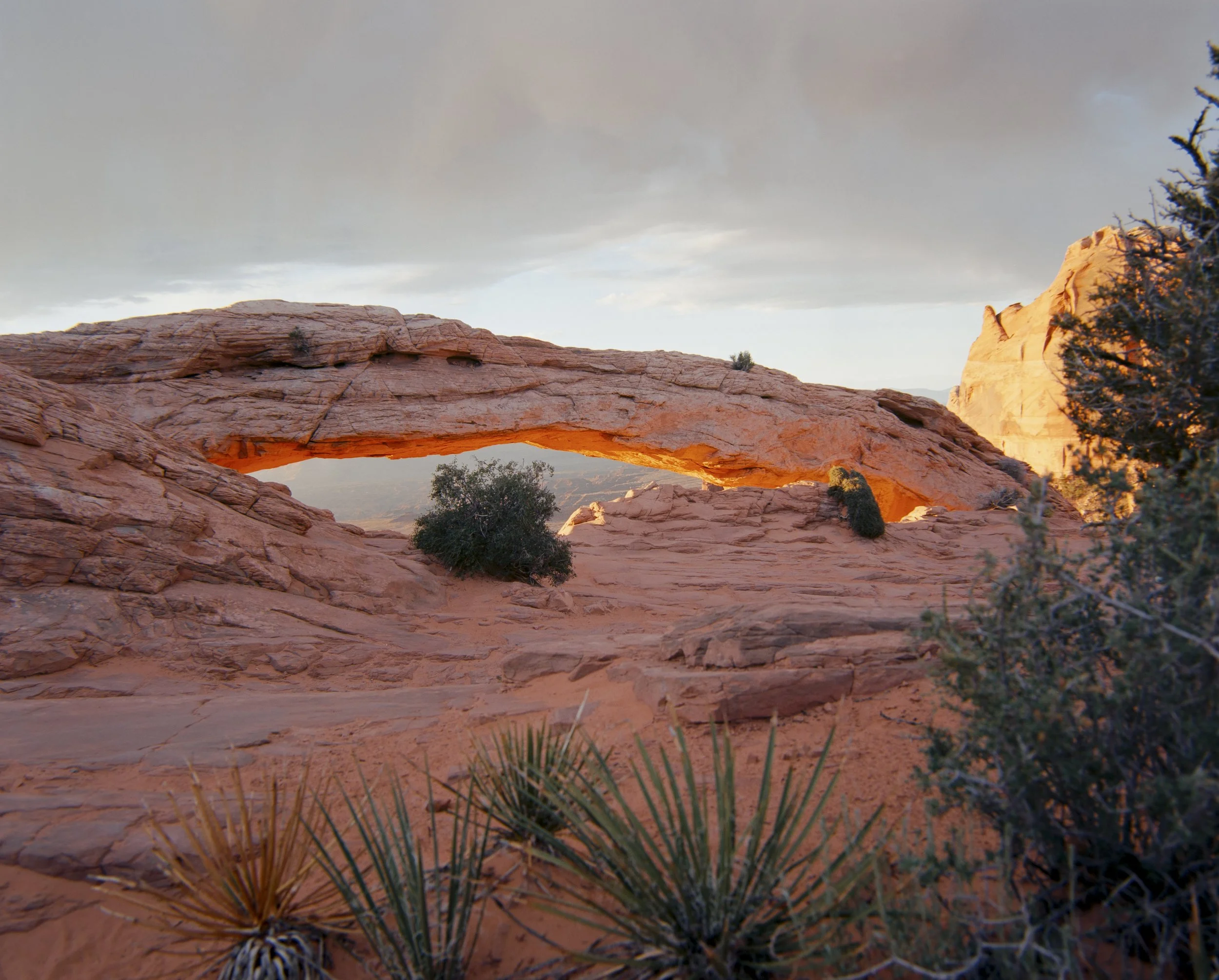 Road trip scans Medium format-393-positive.jpg