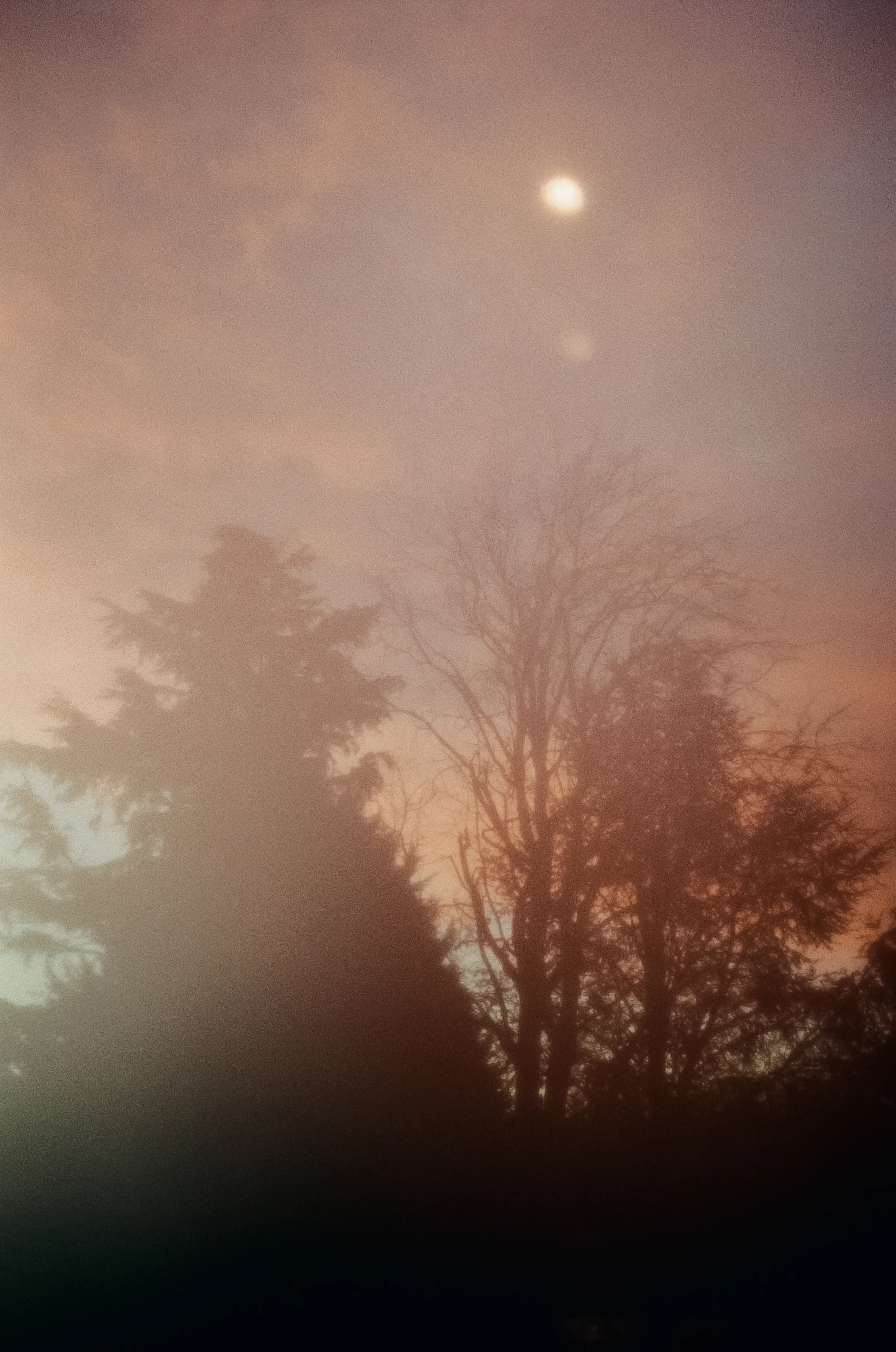 0006_8A.jpg
