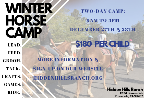 Winter Horse Camp.png