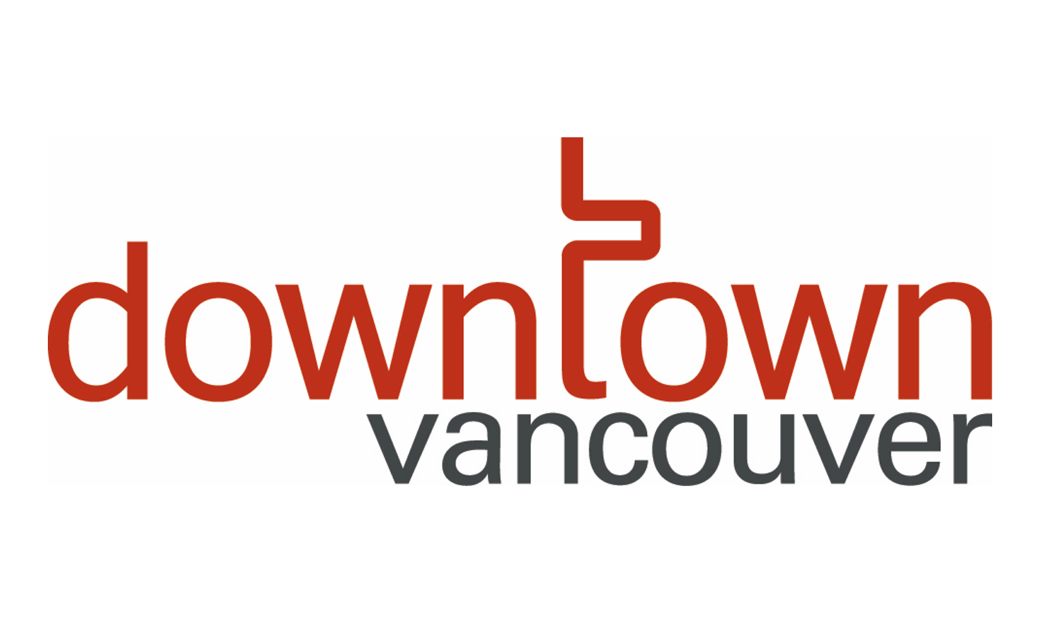 WEBSITE LOGO - DVBIA.png