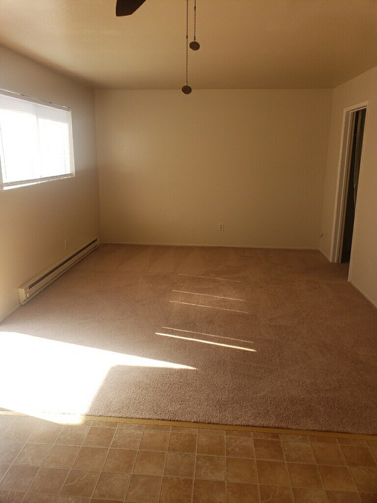 new carpet.jpg