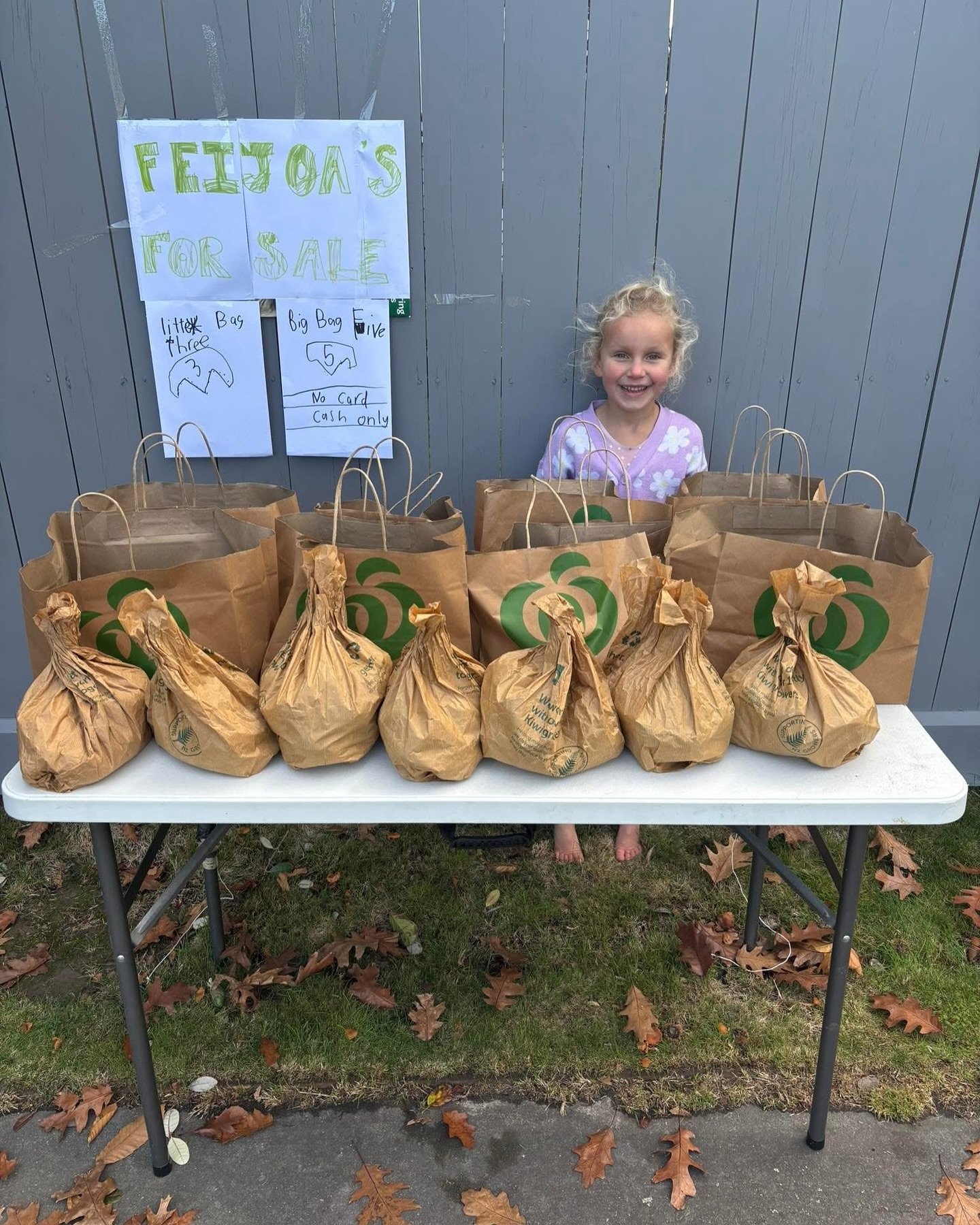 They collected them.
They bagged them.
They made the signs.
They stood on the street.
They waved at cars.
They yelled at pedestrians.
They talked to customers.
They sold out.
They made $155 in 90 min. 
They&rsquo;re 3 and 6.
They&rsquo;re awesome 🥹