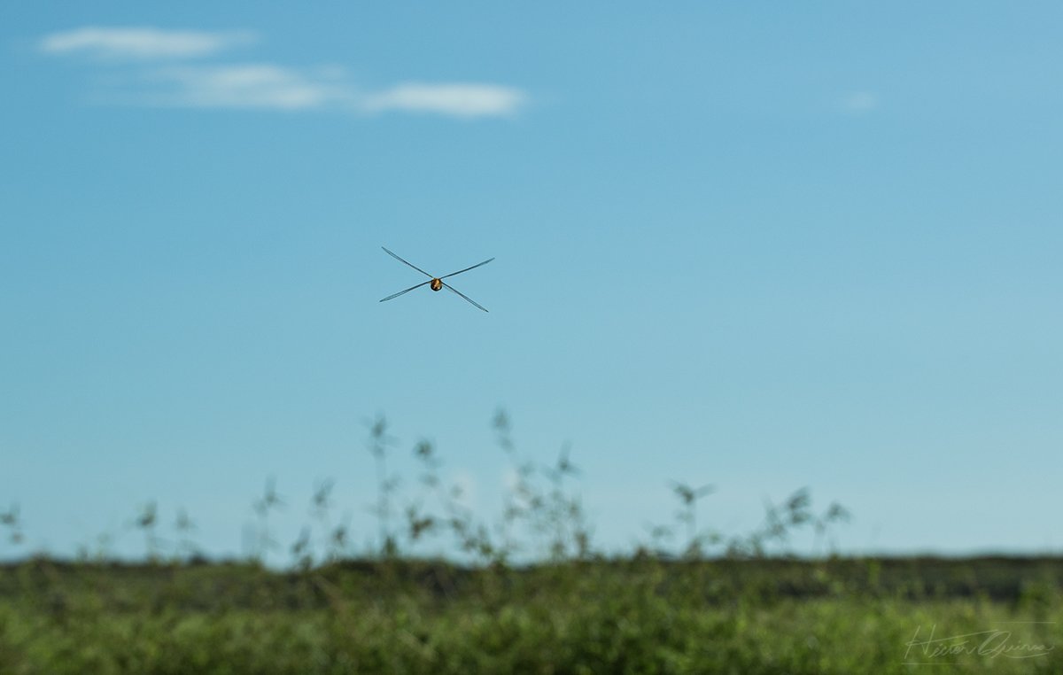 aerodinamica.jpg