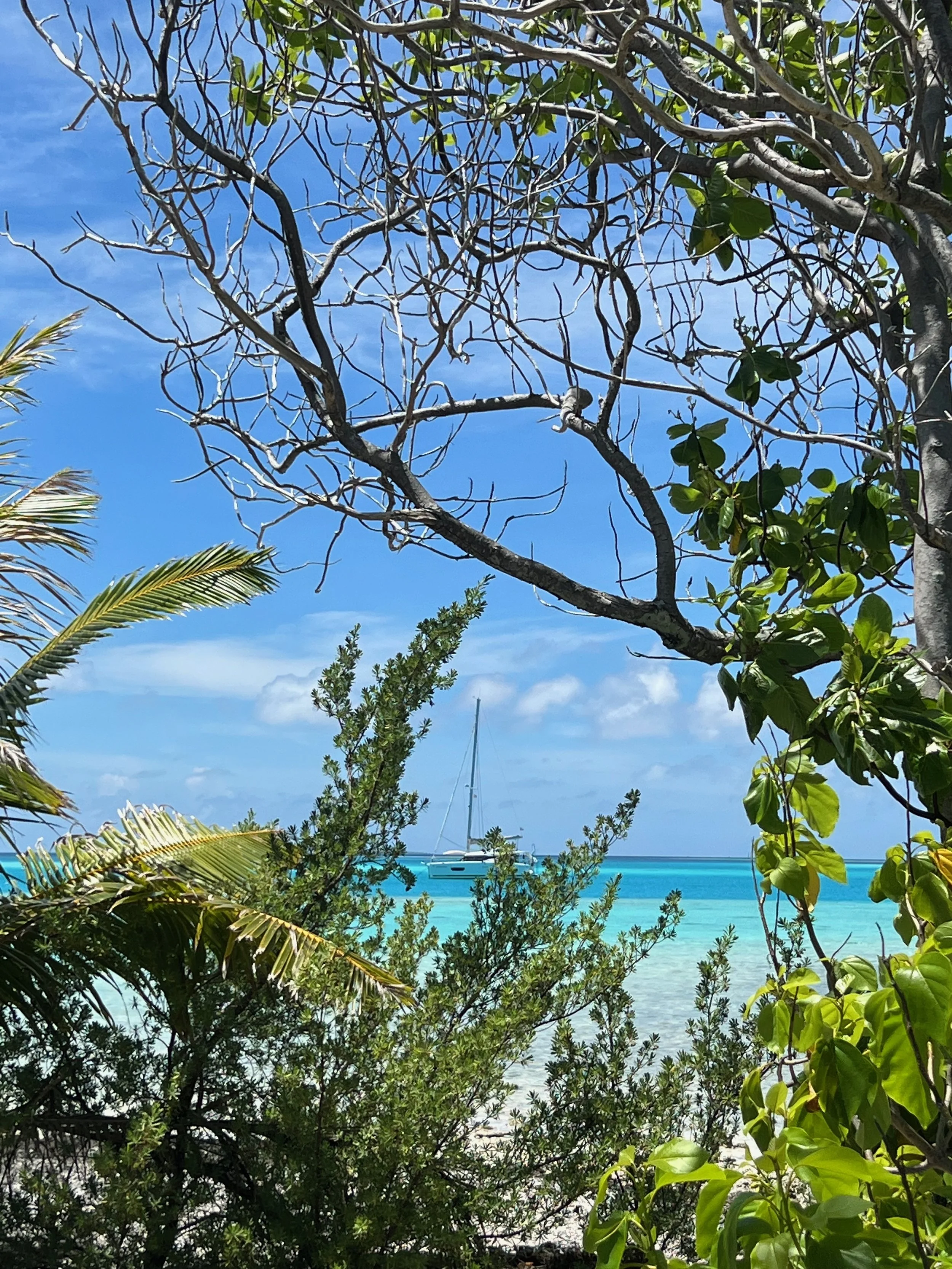 Urlaub auf der Hamaka