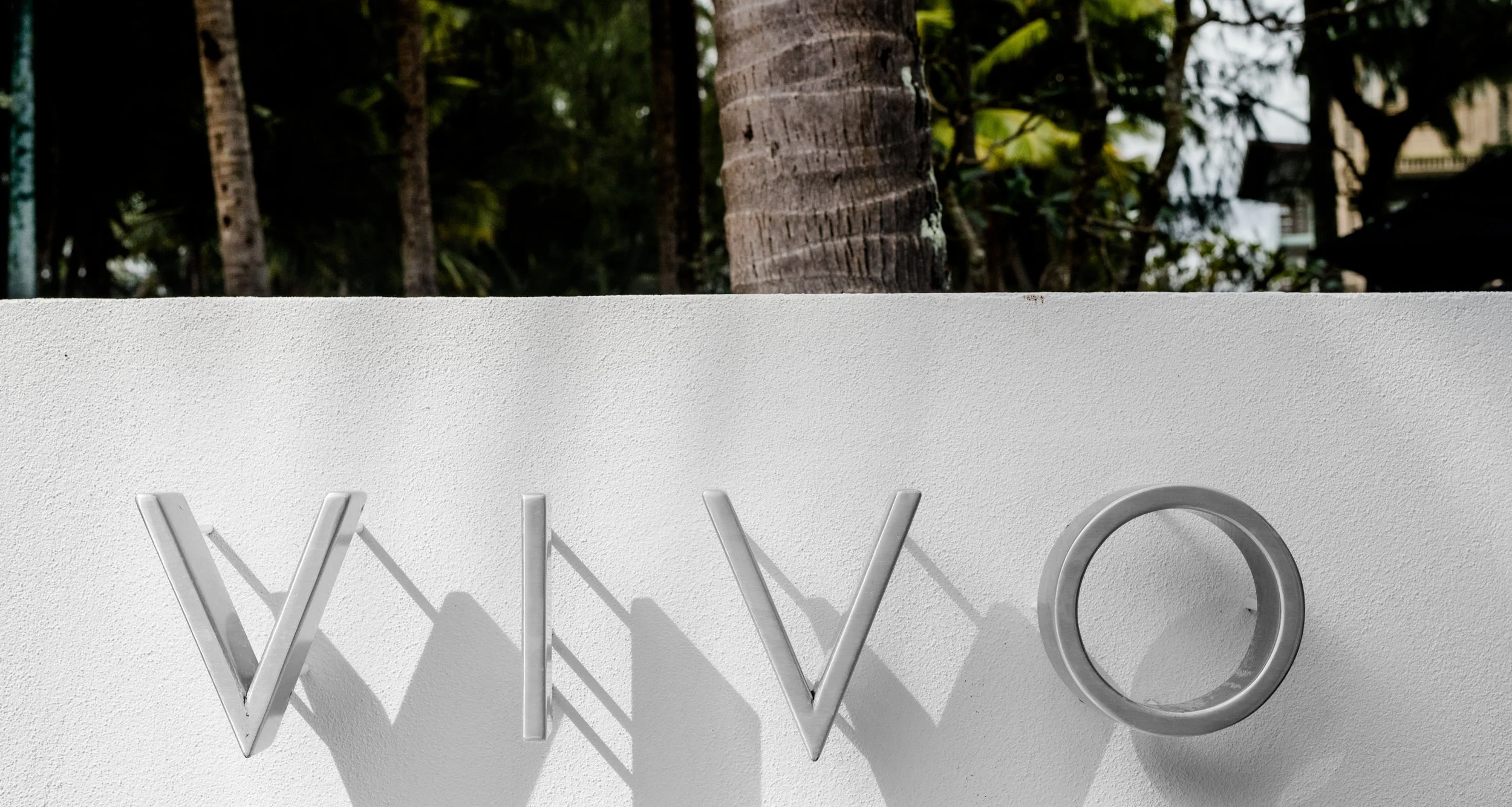Vivo+Edited-1276.jpg