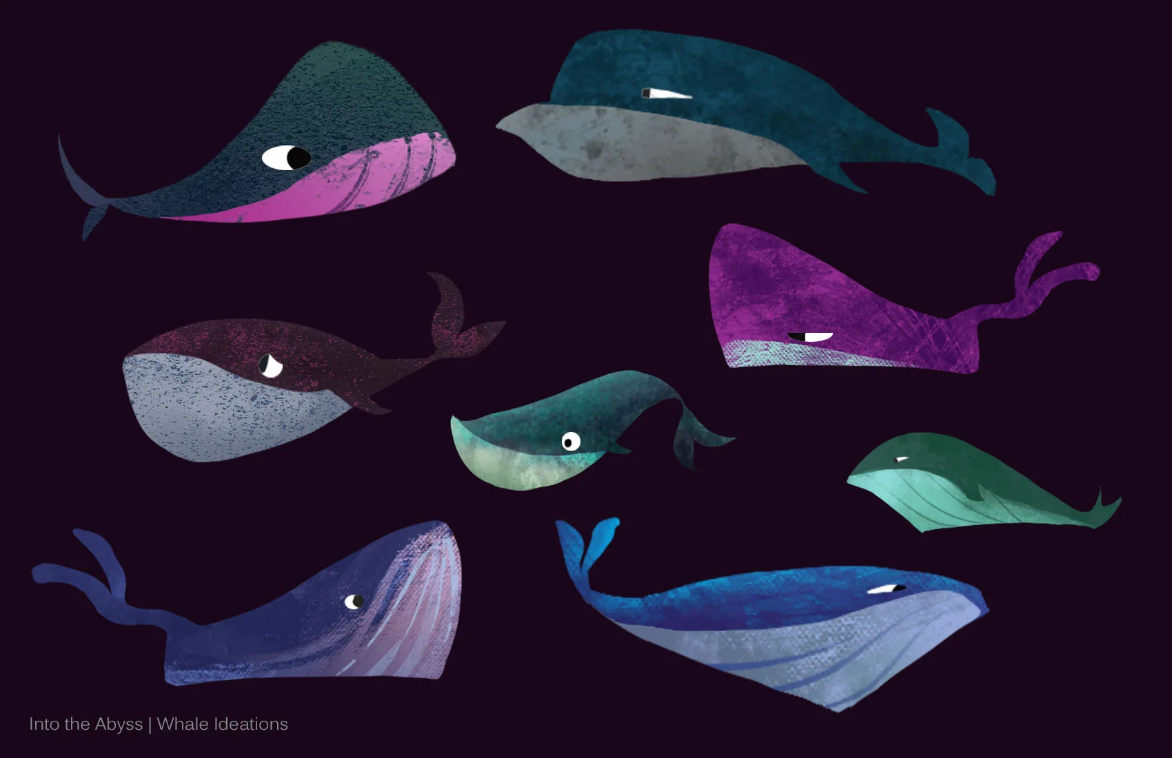 whale ideations3.jpg