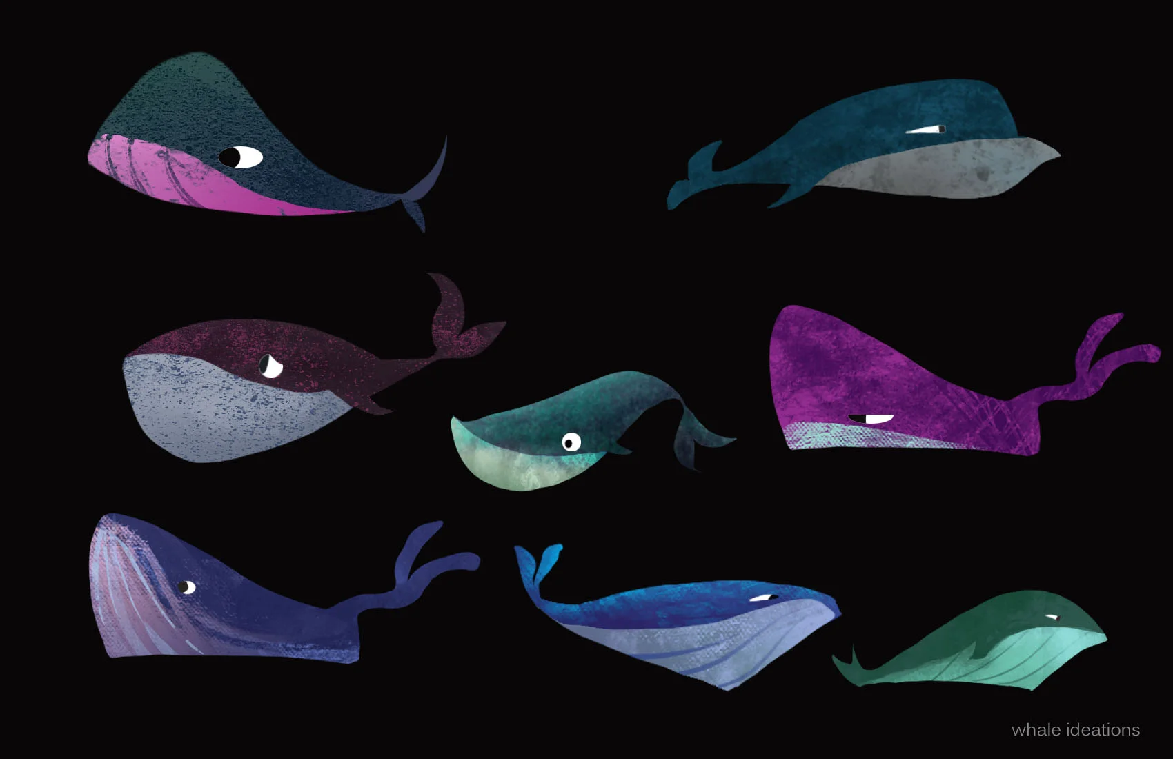 whale ideations2.jpg