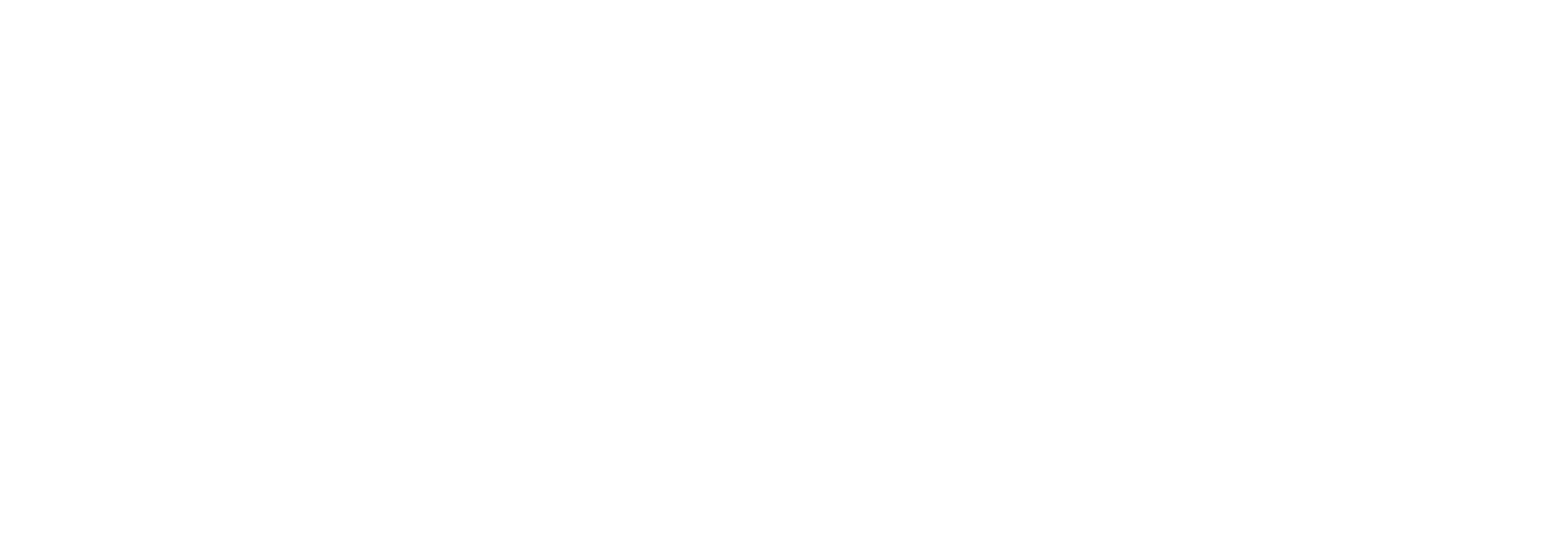 Courage Conference Logo 2018 White.png