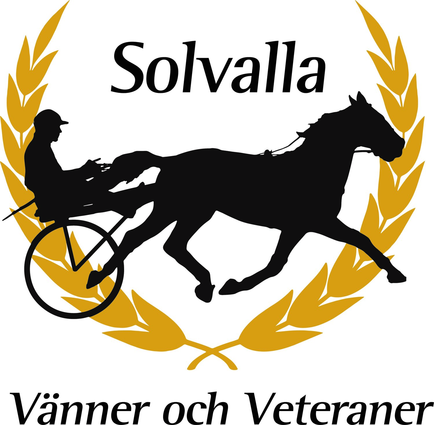 SOLVALLA VETERANER