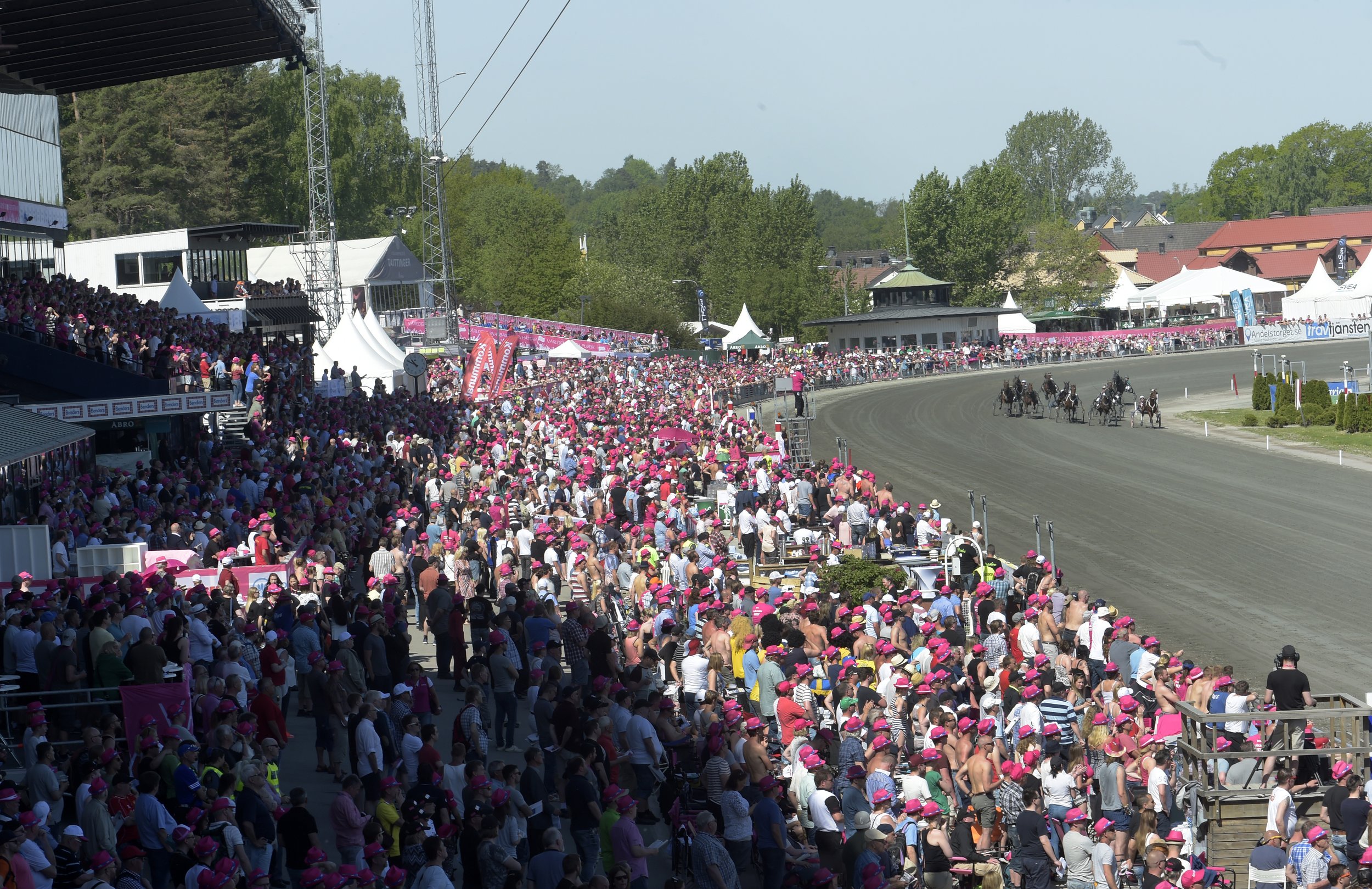 Publik Elitloppet.jpg