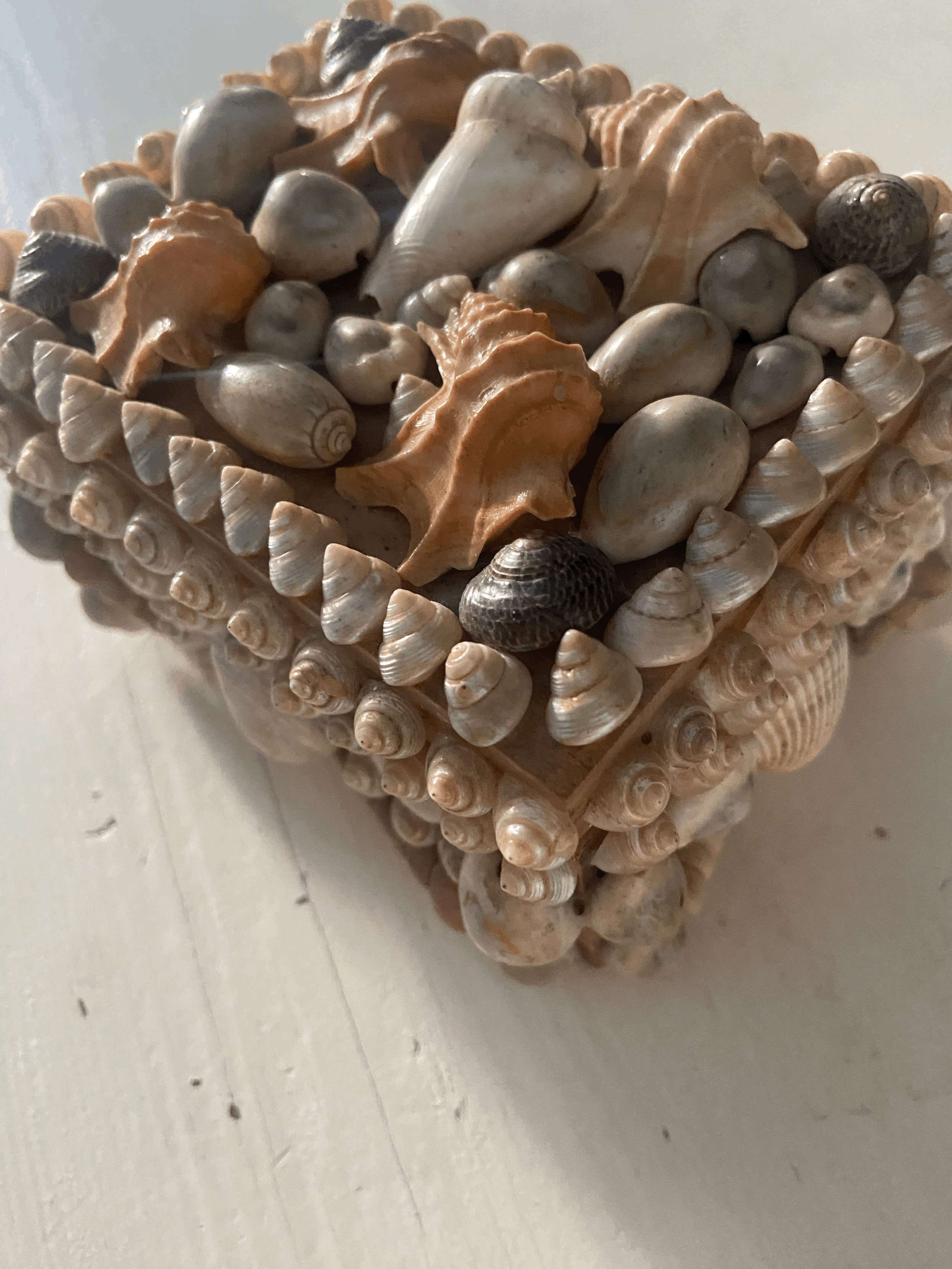 Antique shell box