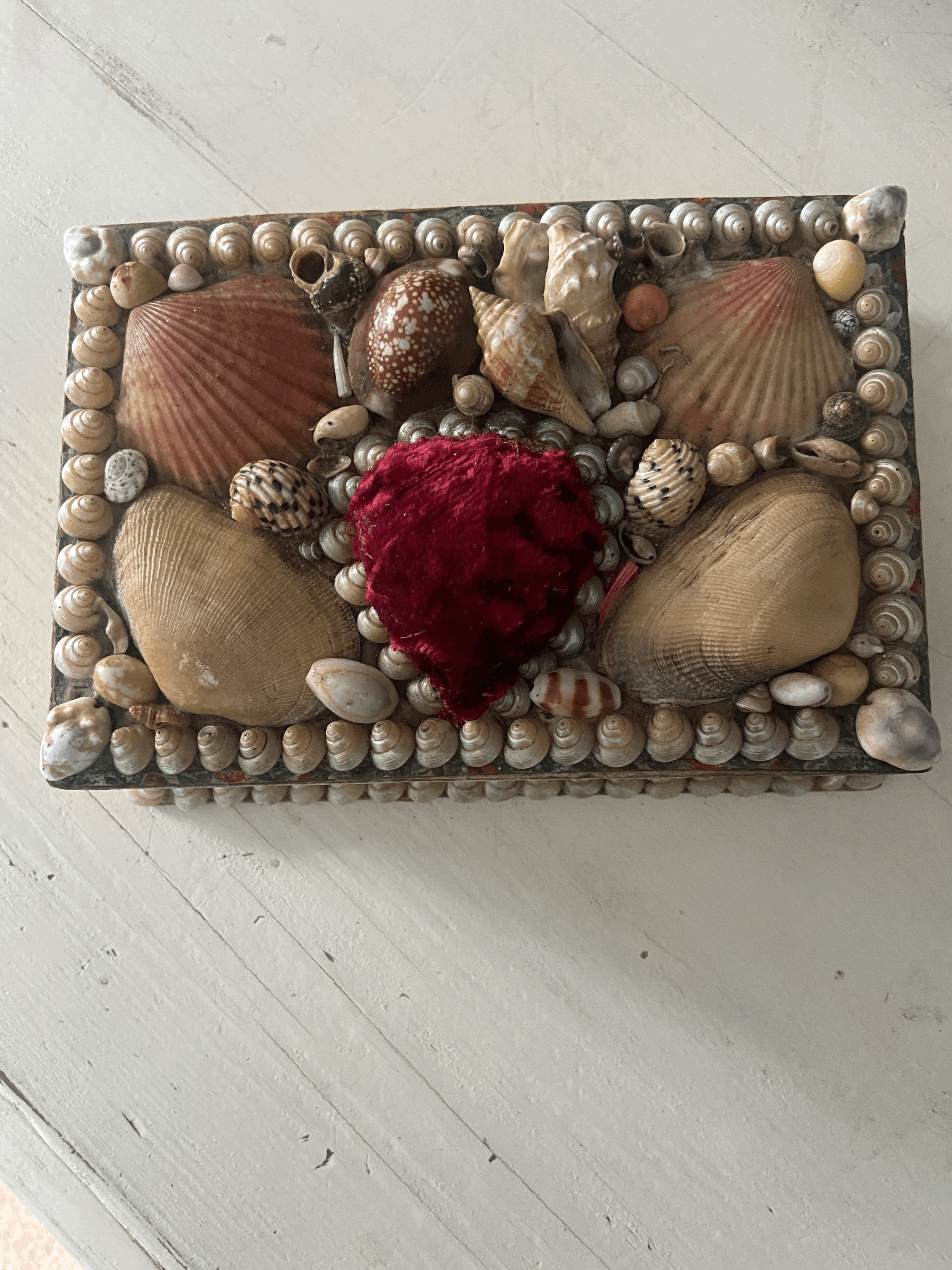 Antique shell box
