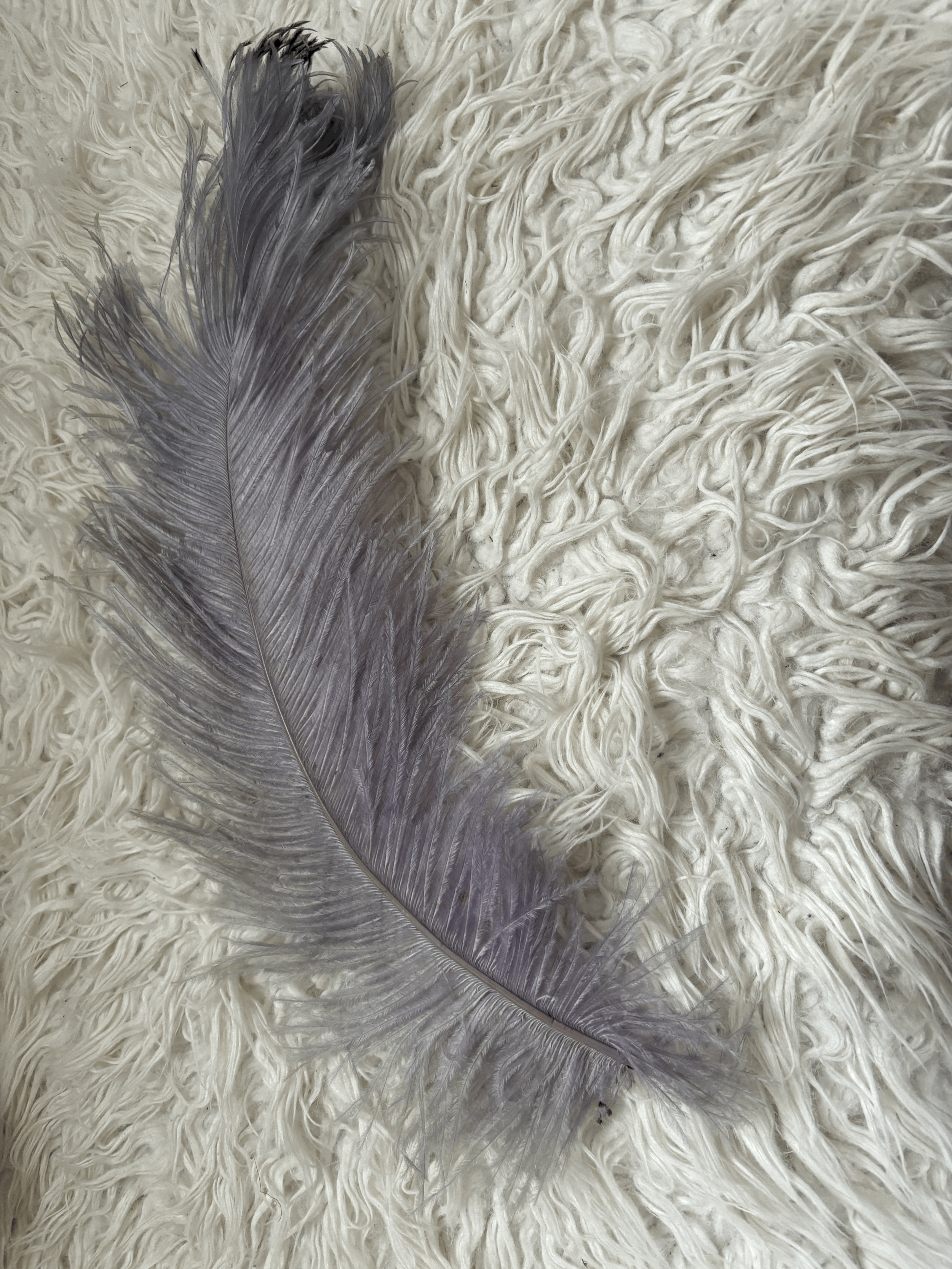 1920s Ostrich feather