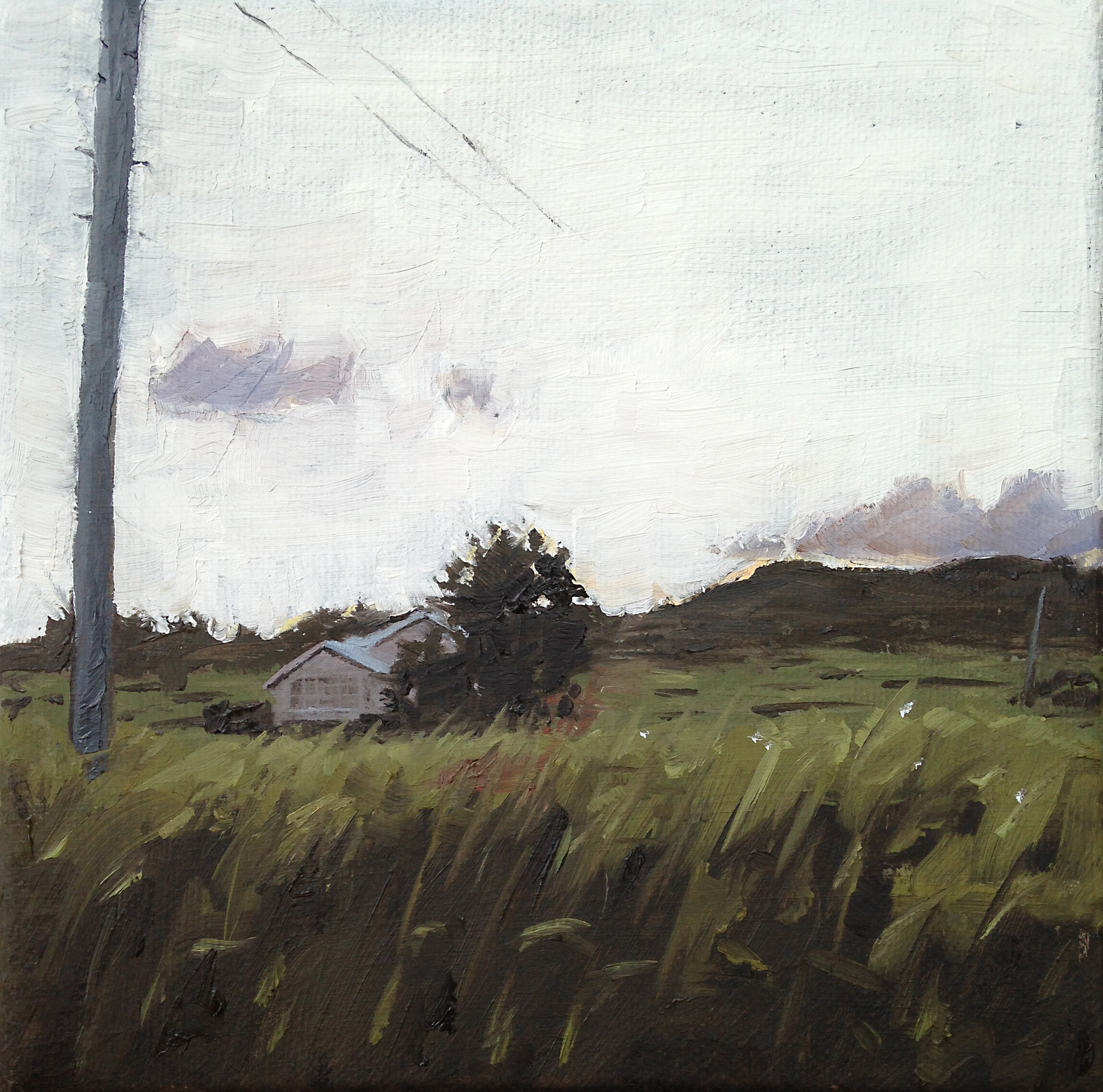 Windy Day.jpg
