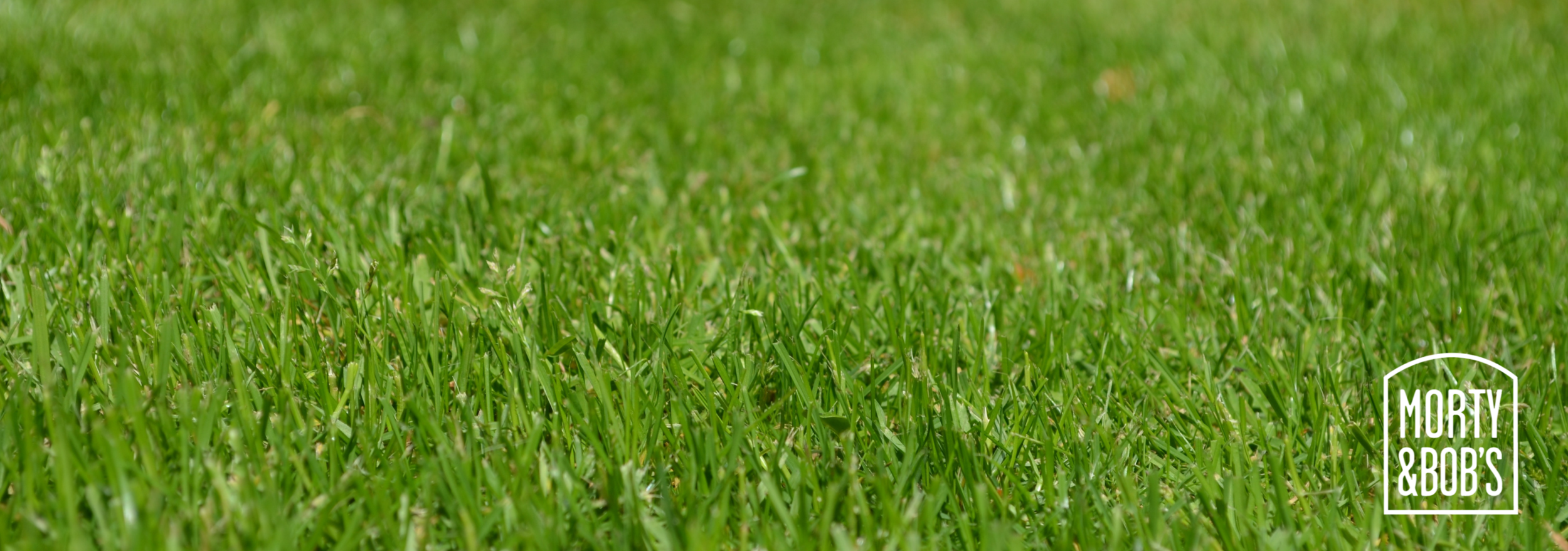 Untitled design (6).png