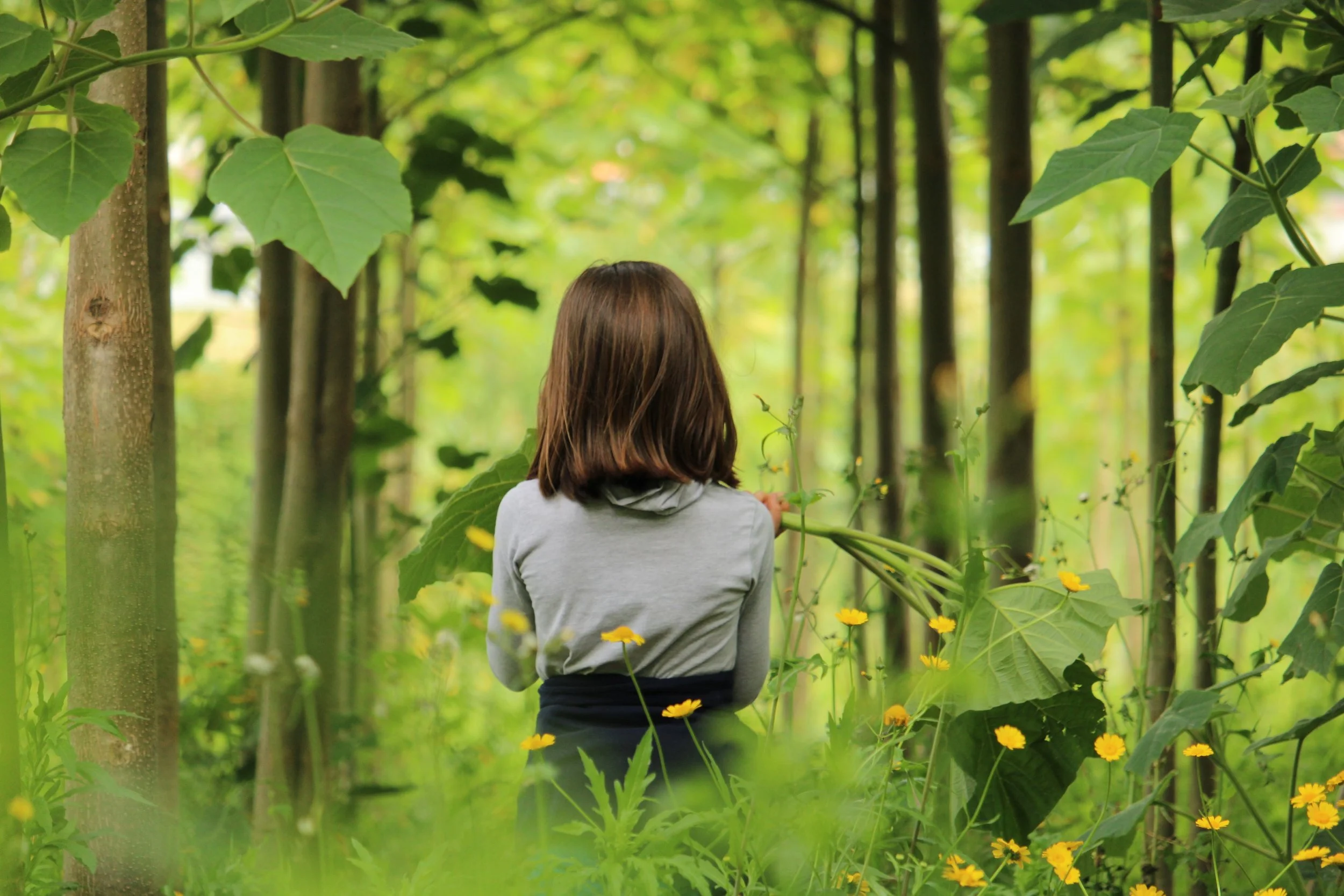  Criação um modelo inovador, alternativo ao tradicional, para minimizar os problemas do excesso de efluentes pecuários nas explorações pecuárias leiteiras, promovendo a sua valorização como fornecedor de matéria orgânica aos solos e disponibilidade d