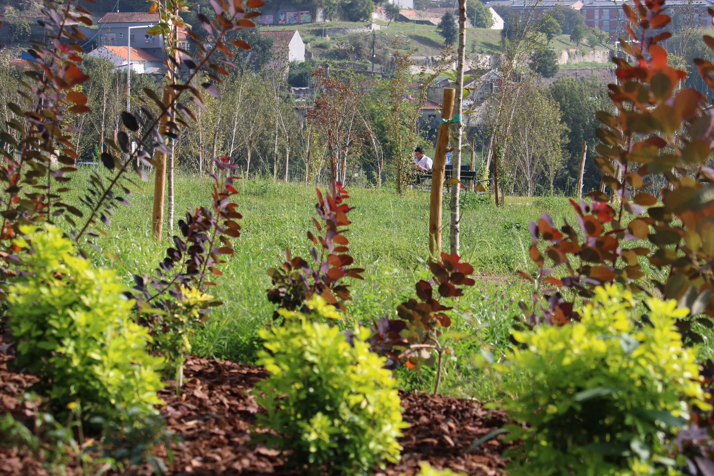 TERMINAL INTERMODAL DE CAMPANHÃ | PORTO
