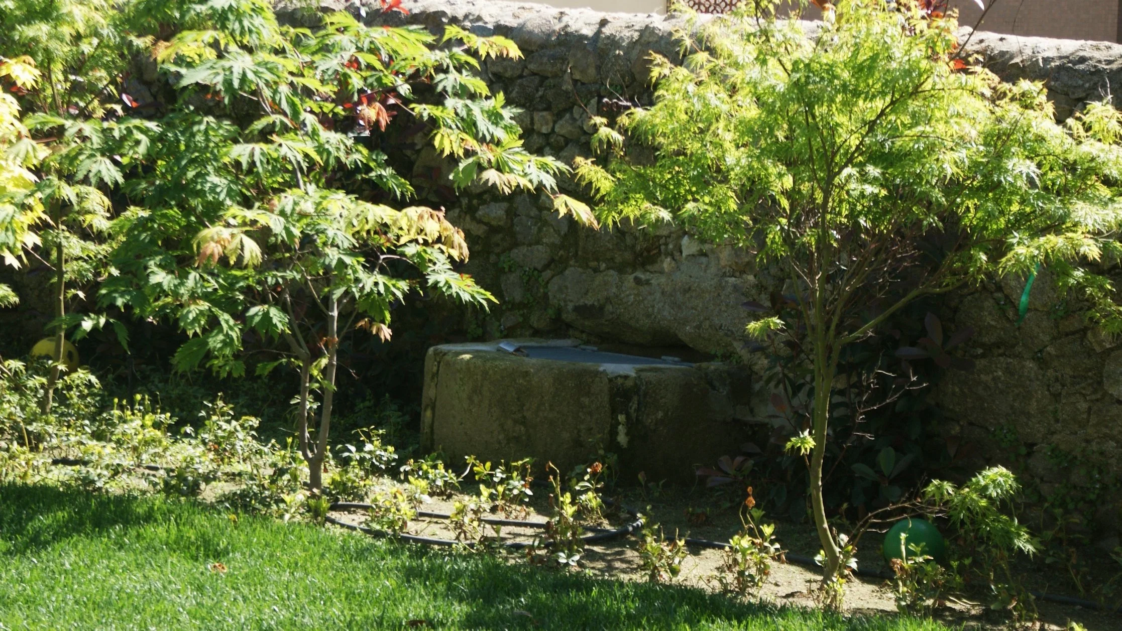 DSC01043.JPG