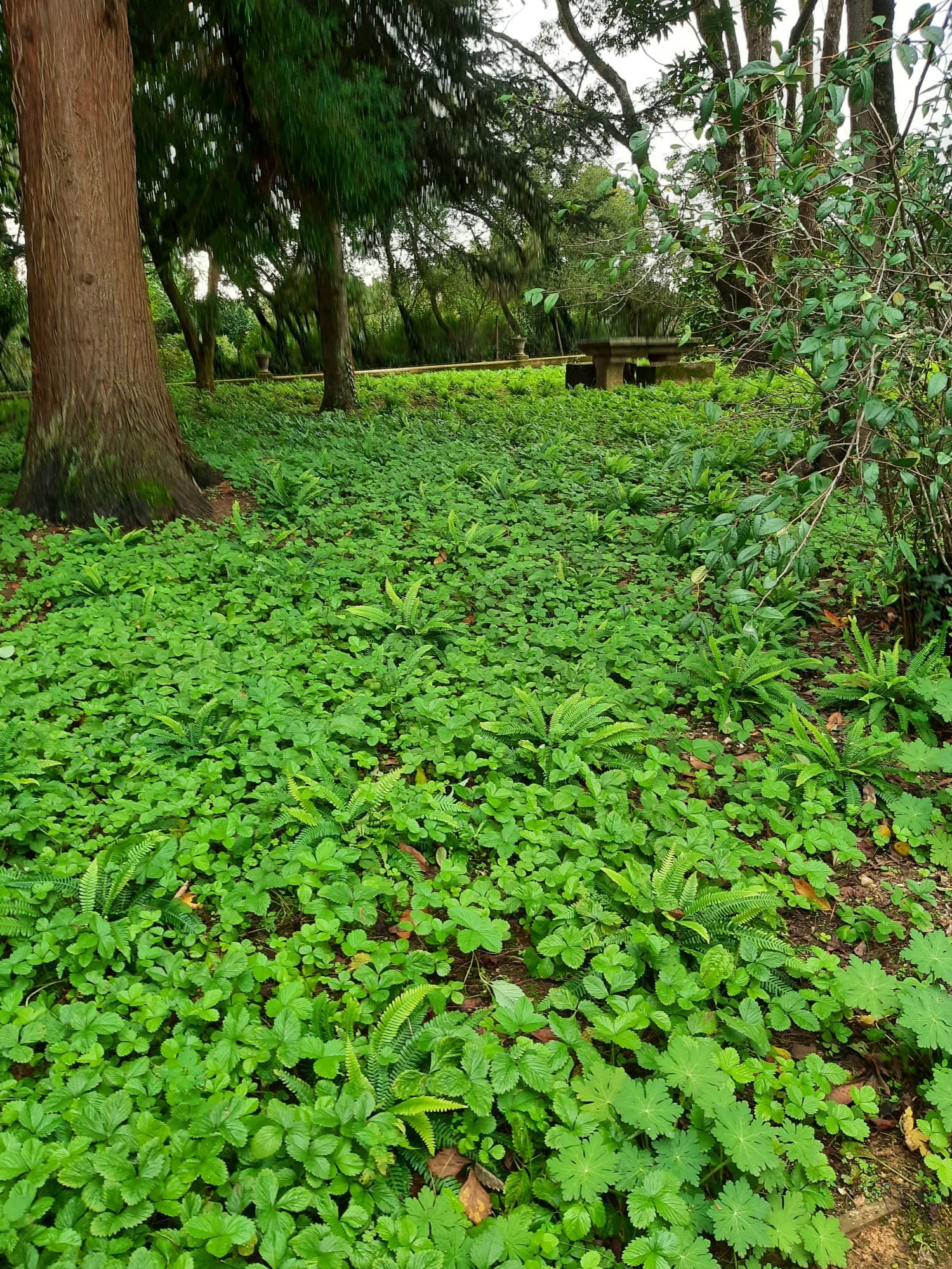 AGUEIRA00005.jpg