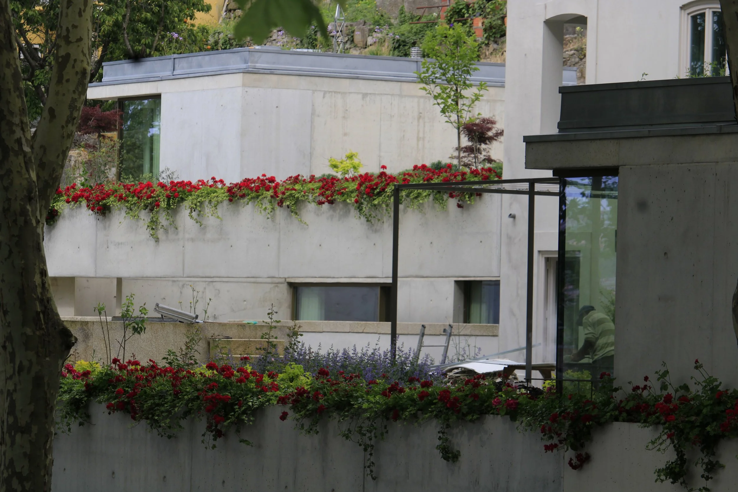 2024.05.14_00299.JPG