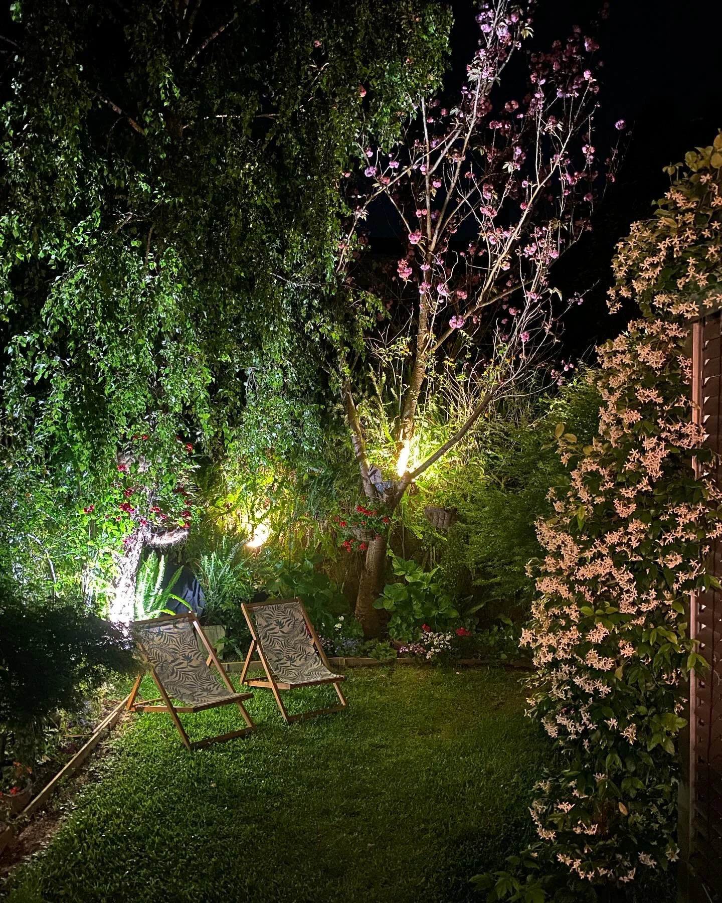 036BD5BB-F145-4E9C-B0B9-127FFB310B5A.jpg