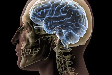 Anti-NMDA Receptor Encephalitis - Symptoms, diagnosis and treatments