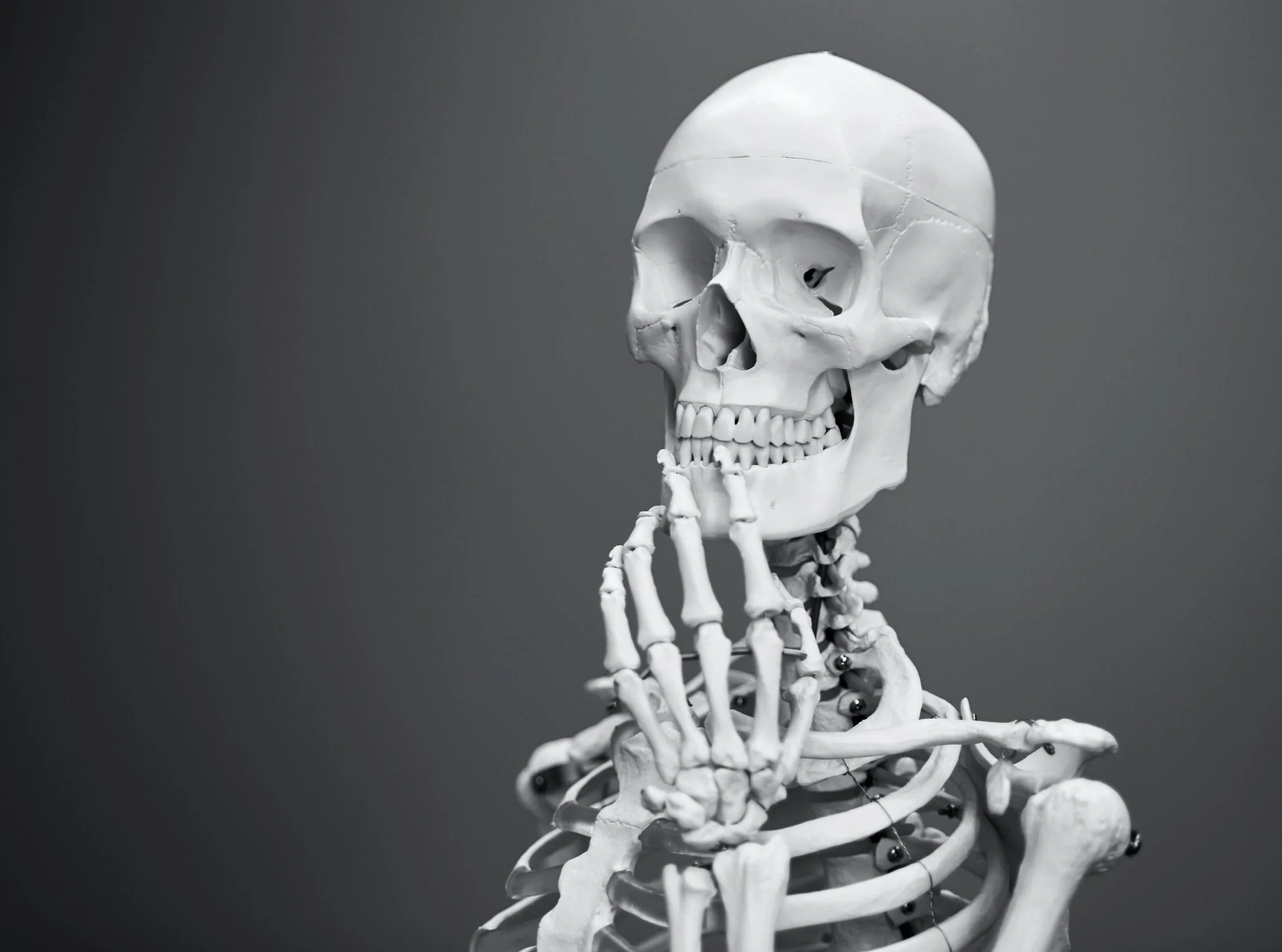 Bones, Bones...All About Bones!