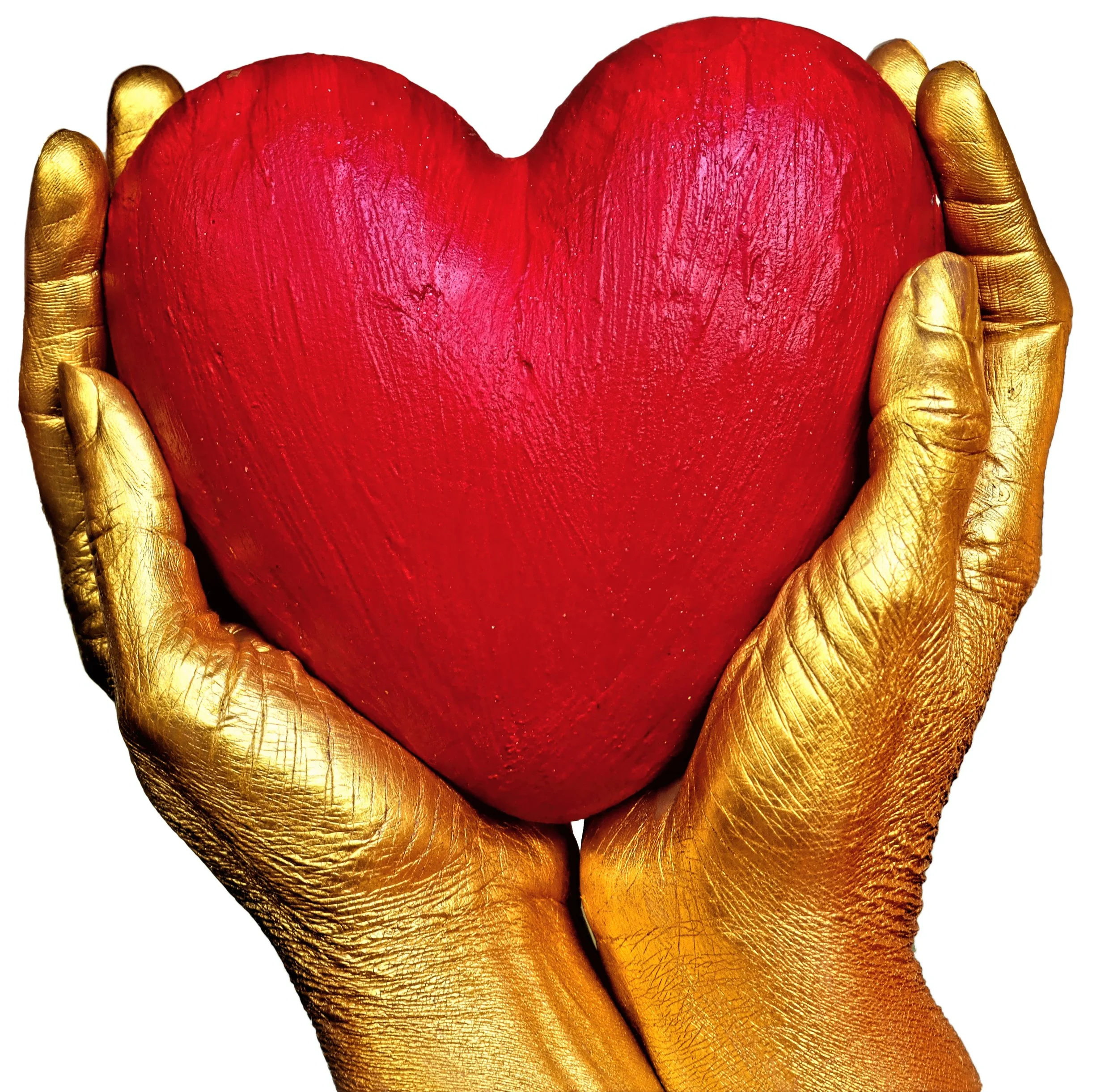 Heart-to-heart: Tracing the Blood’s Journey Around the Body
