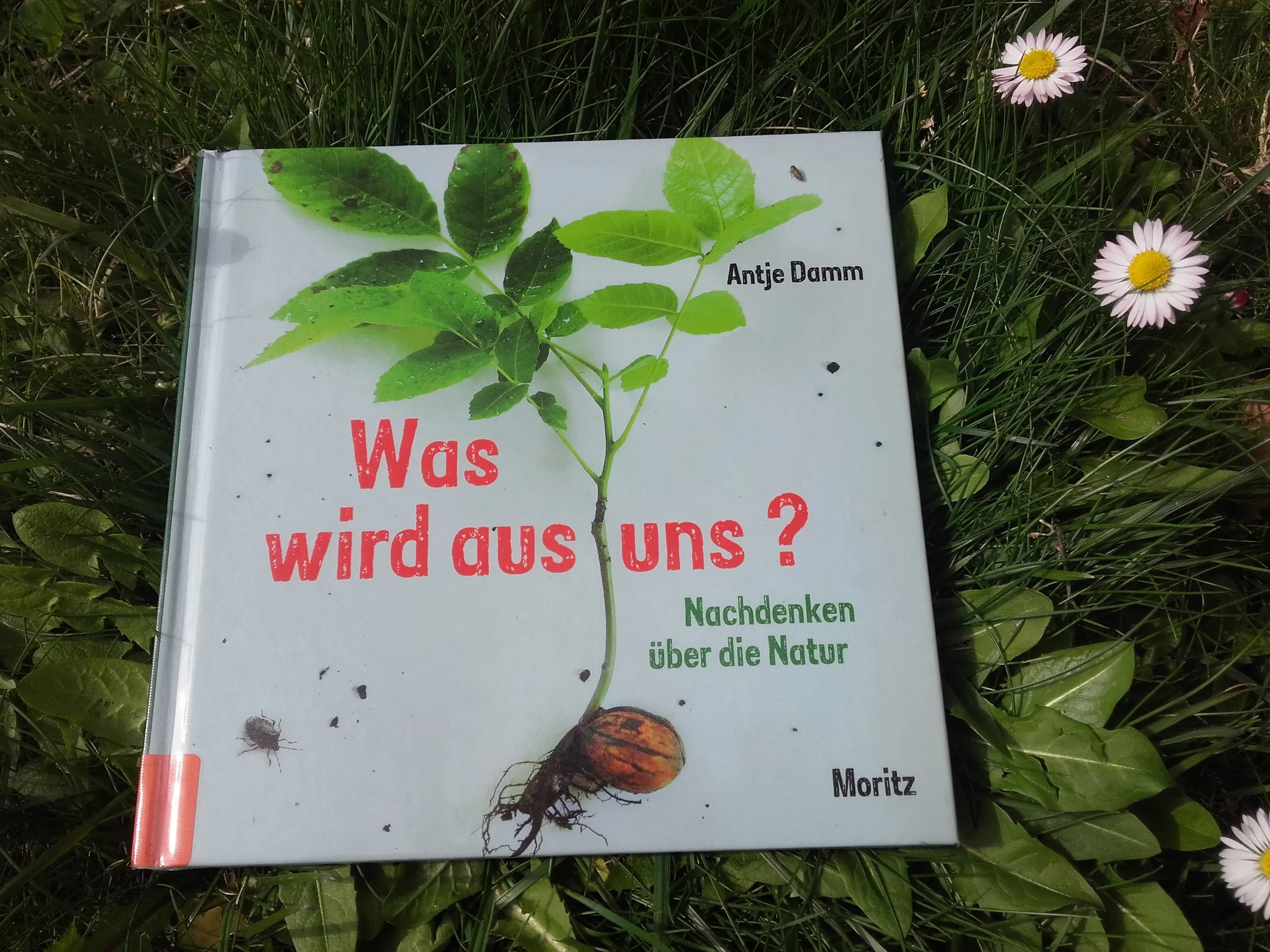 20190417_162839.jpg