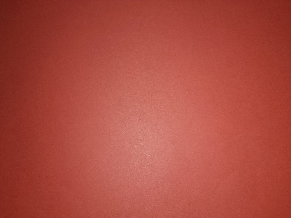 rot Deckblatt.jpg