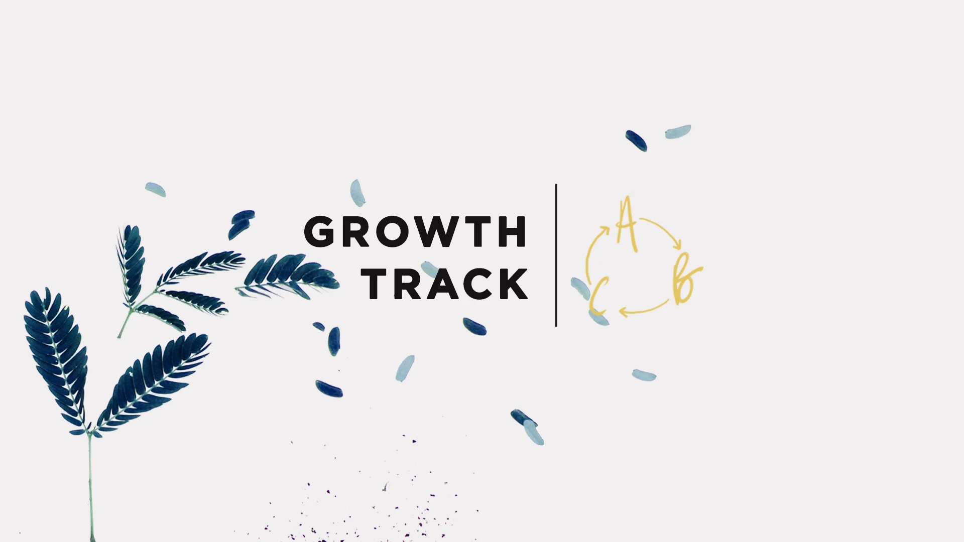 Growth track slide.jpg